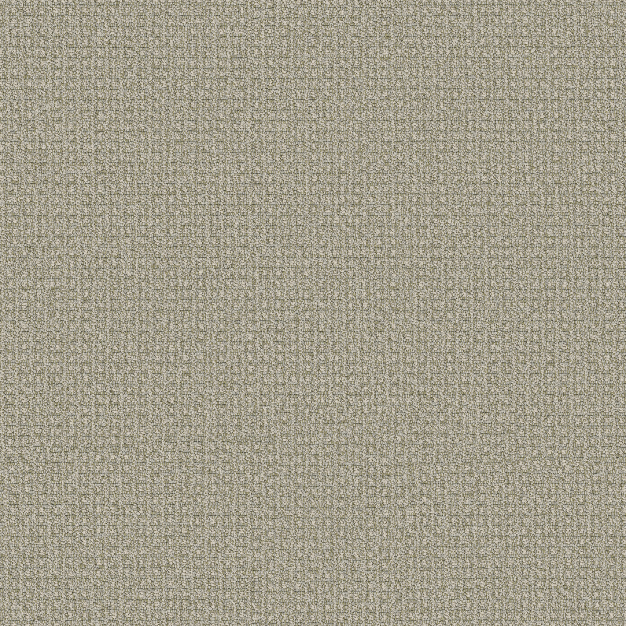 FETCH SOFT FERN MAIN