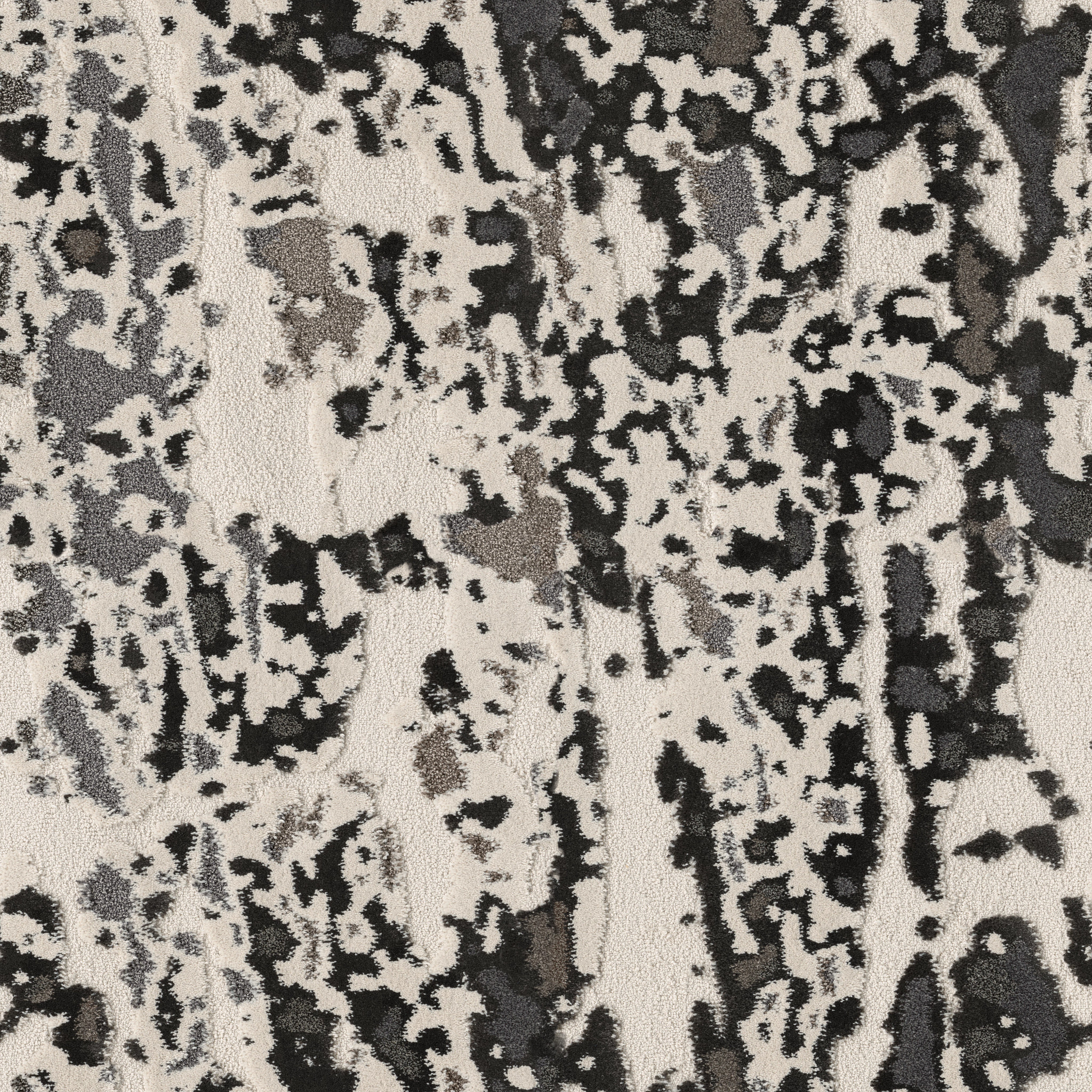 CARRERA MODERN VIBE MAIN