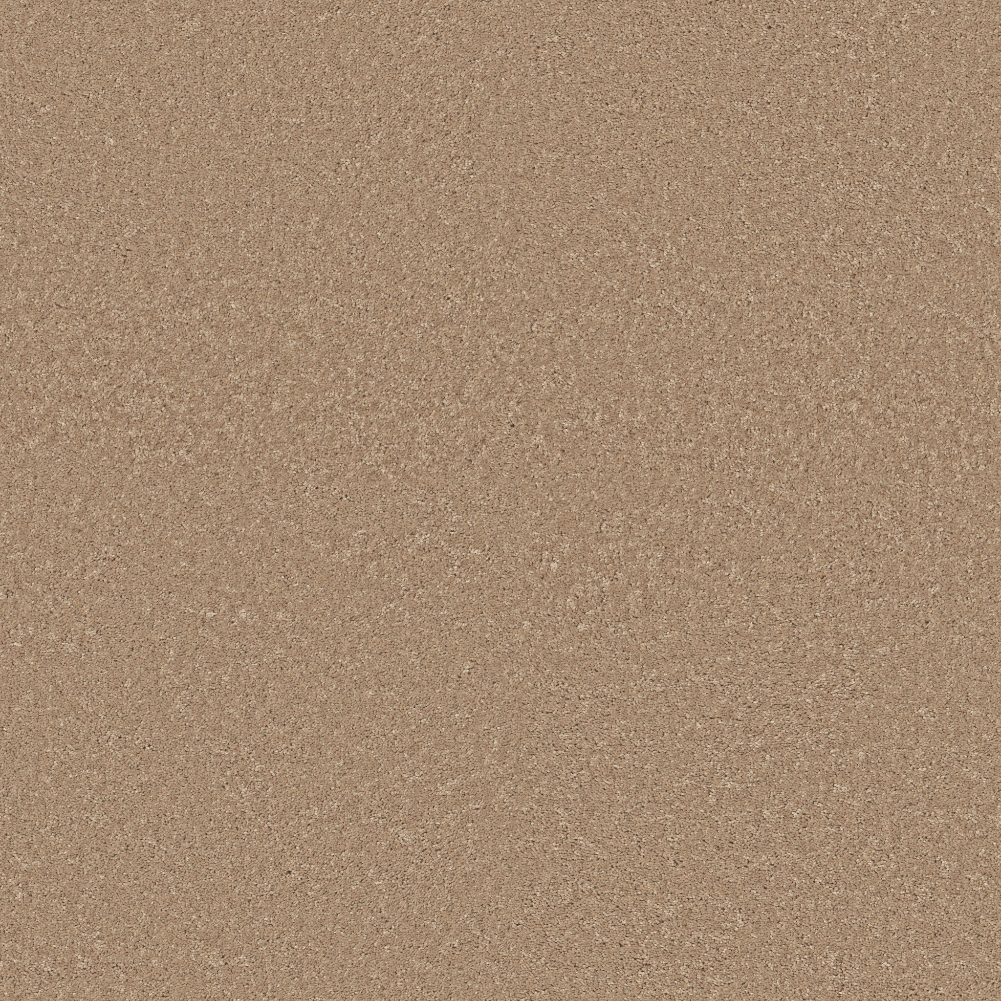 CHALLENGE ACCEPTED II 15' NATURAL BEIGE MAIN