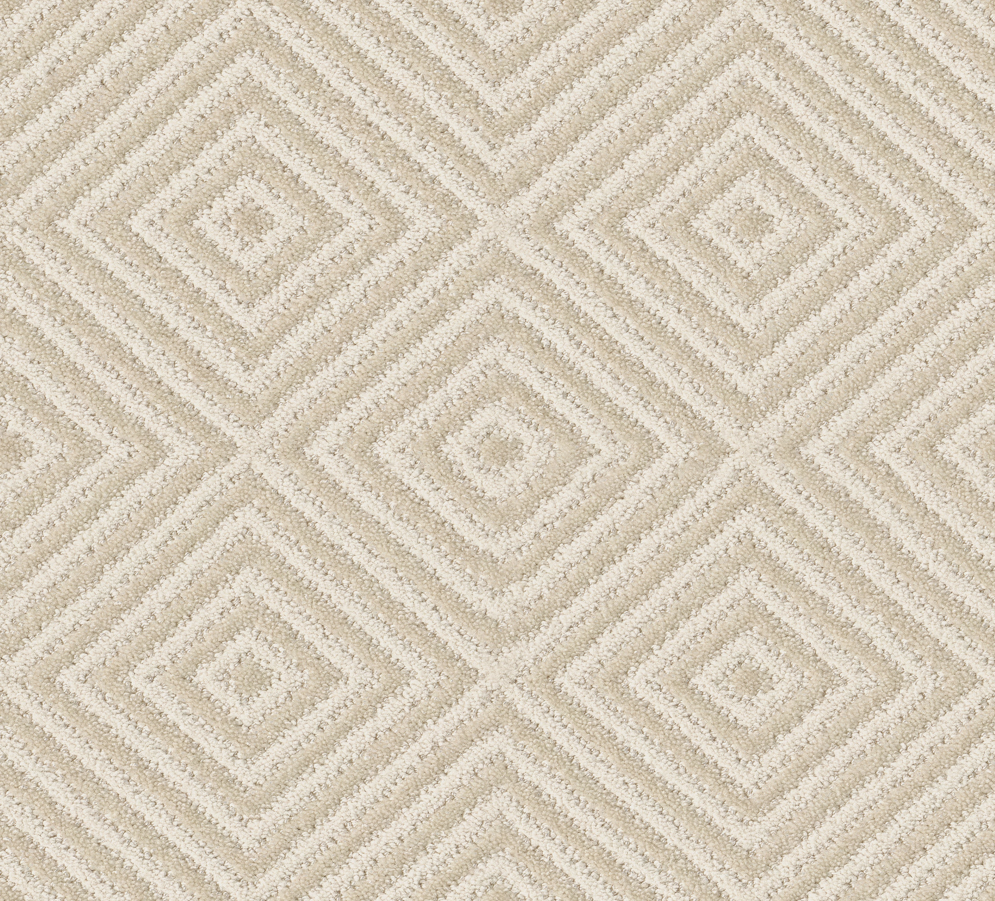 ARISTOCRAT DAYLILY MAIN