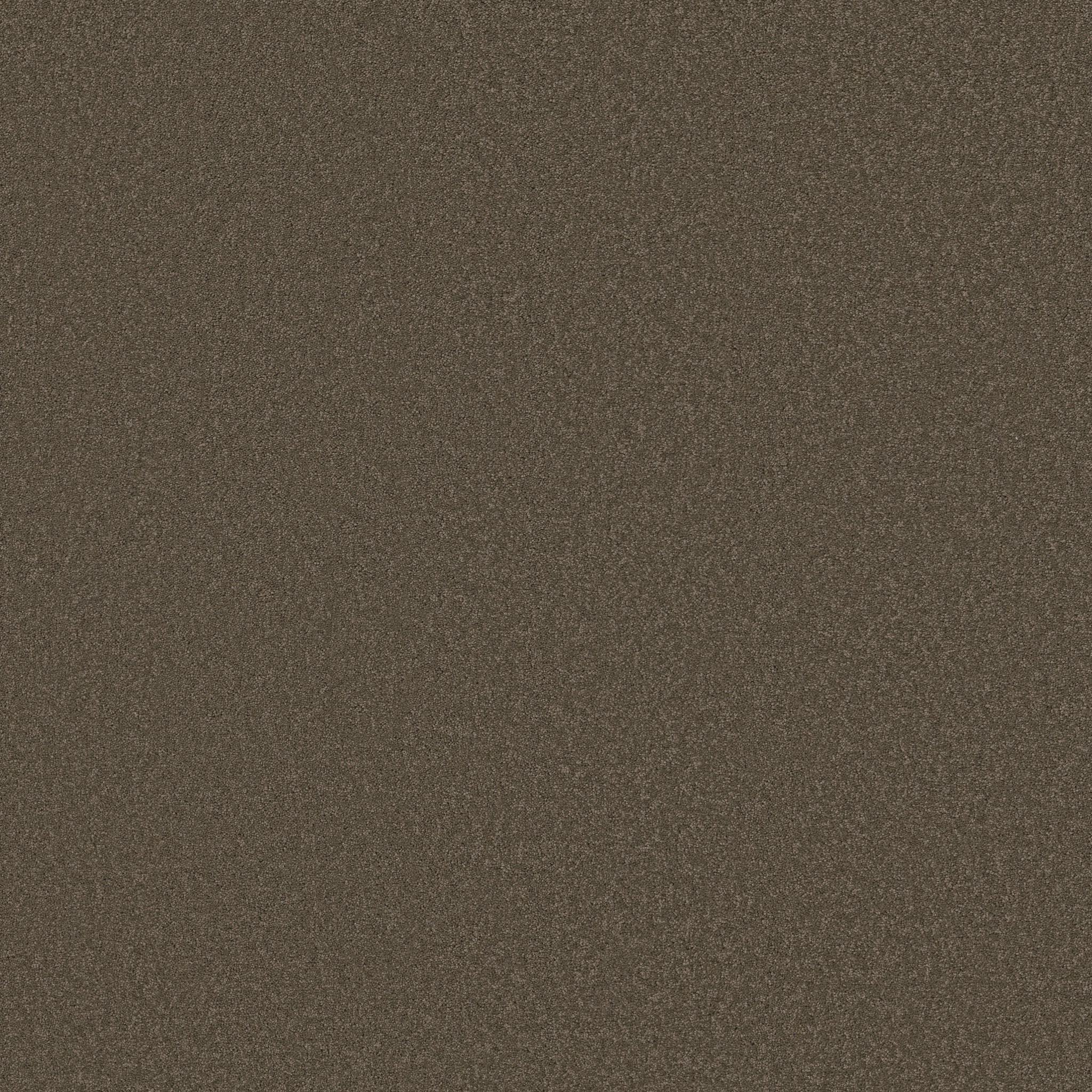 SANDY HOLLOW CLASSIC I 12' CASTLE ROCK MAIN