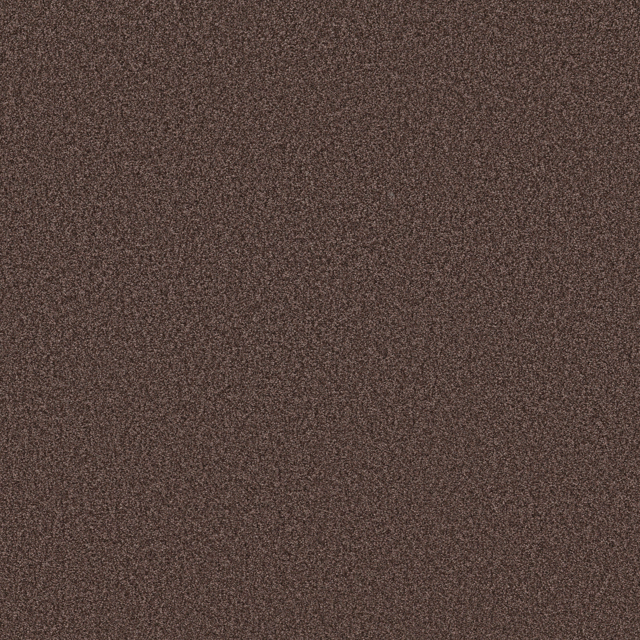 TONAL COMFORT I WINERY MAIN