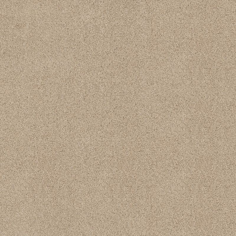 Acadia Park ZZ044 Broadloom Carpet in Wicker color, 100% nylon material, 12ft width