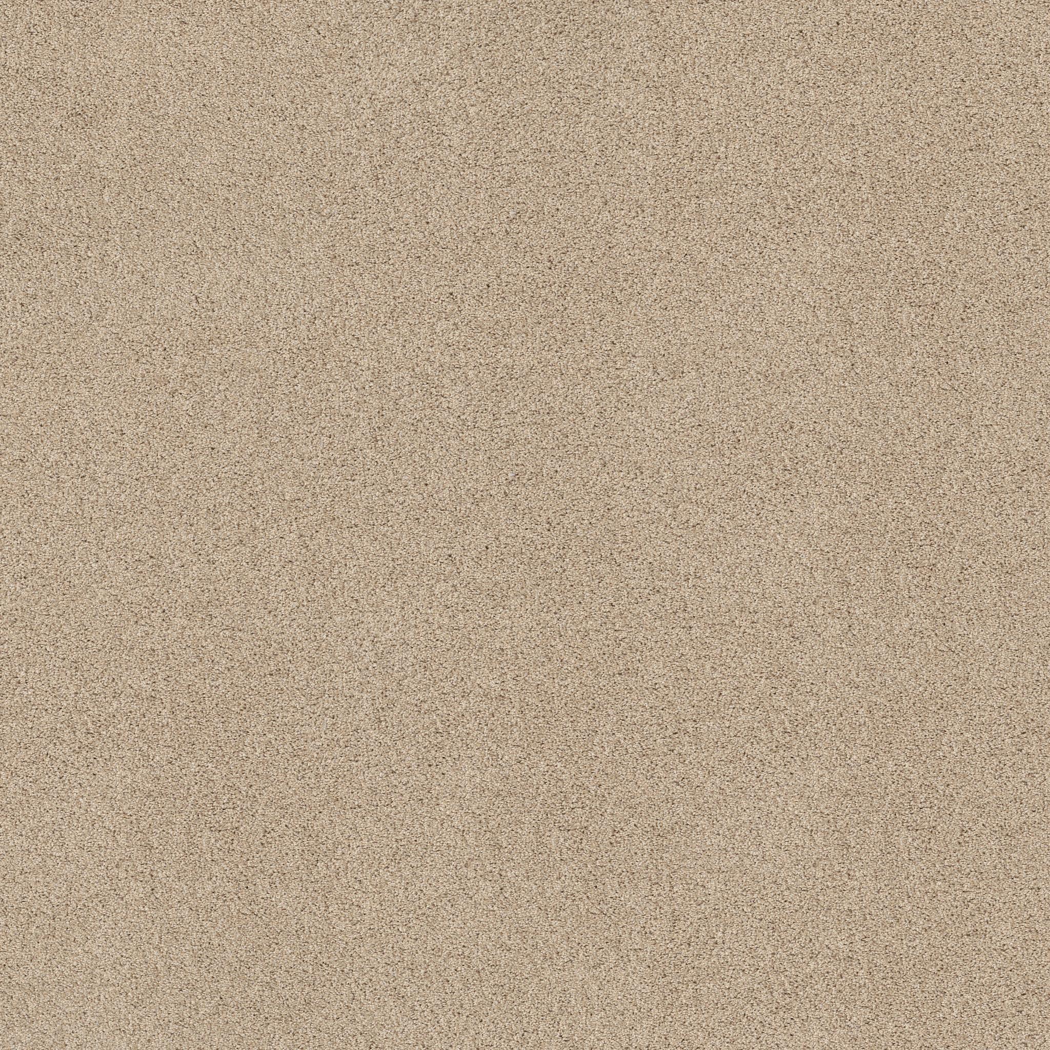 Acadia Park by Shaw Floors