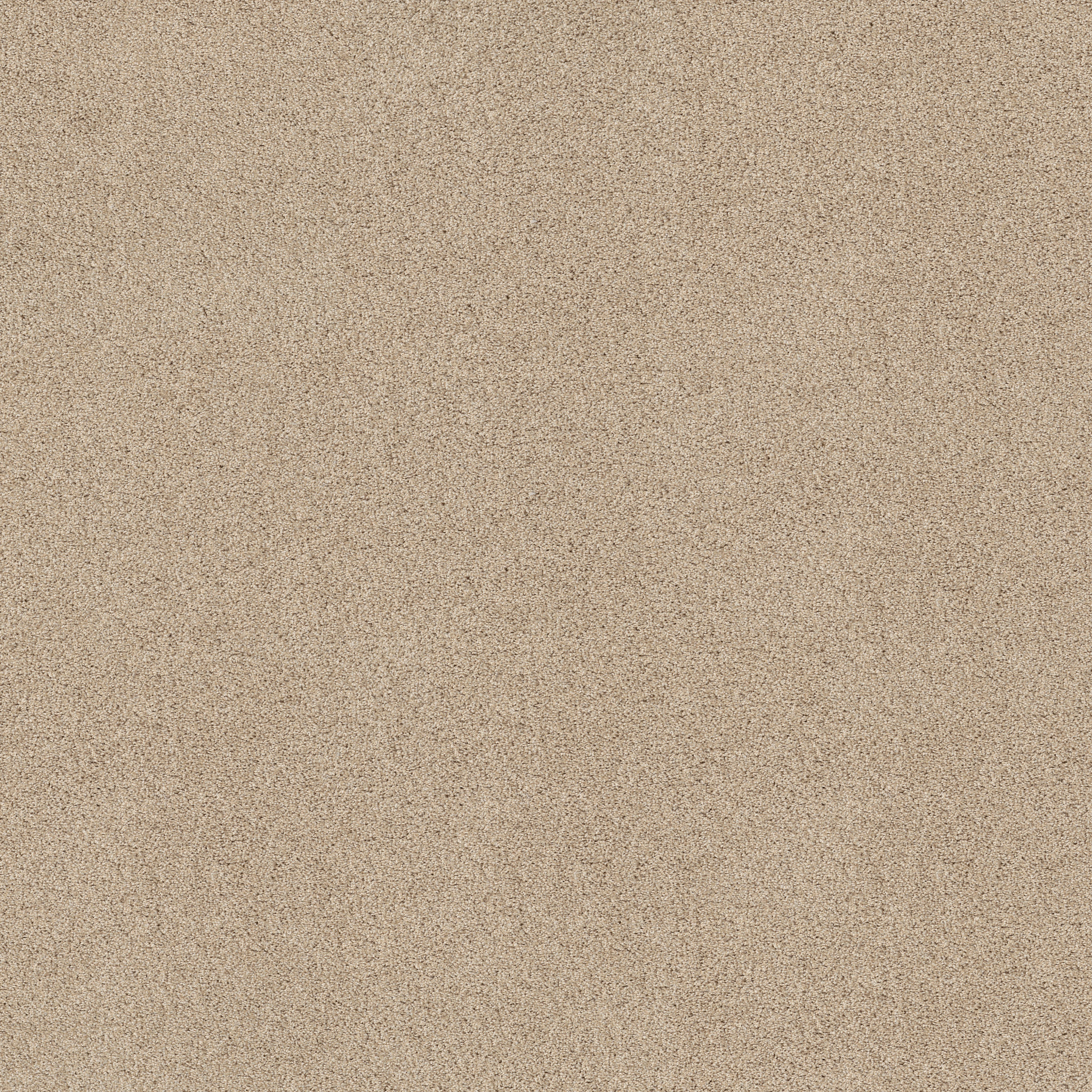 ACADIA PARK DELICATE MAIN