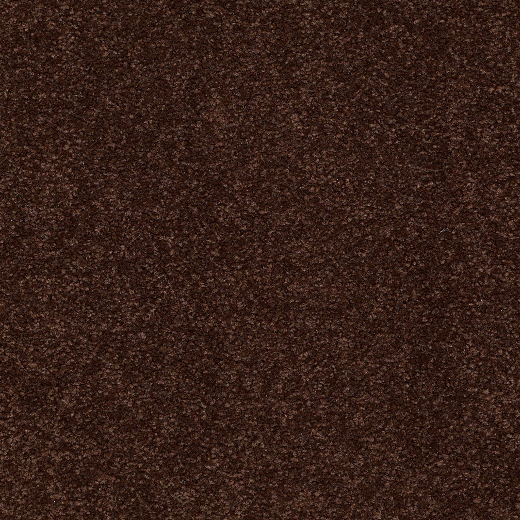 TIMELESS APPEAL III 12' COFFEE BEAN MAIN