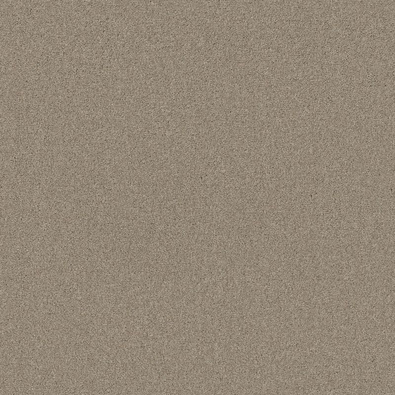 Santa Cruz Beach SNS13 Broadloom Carpet in Doeskin color, 100% nylon material, 12ft wide, 125ft roll length