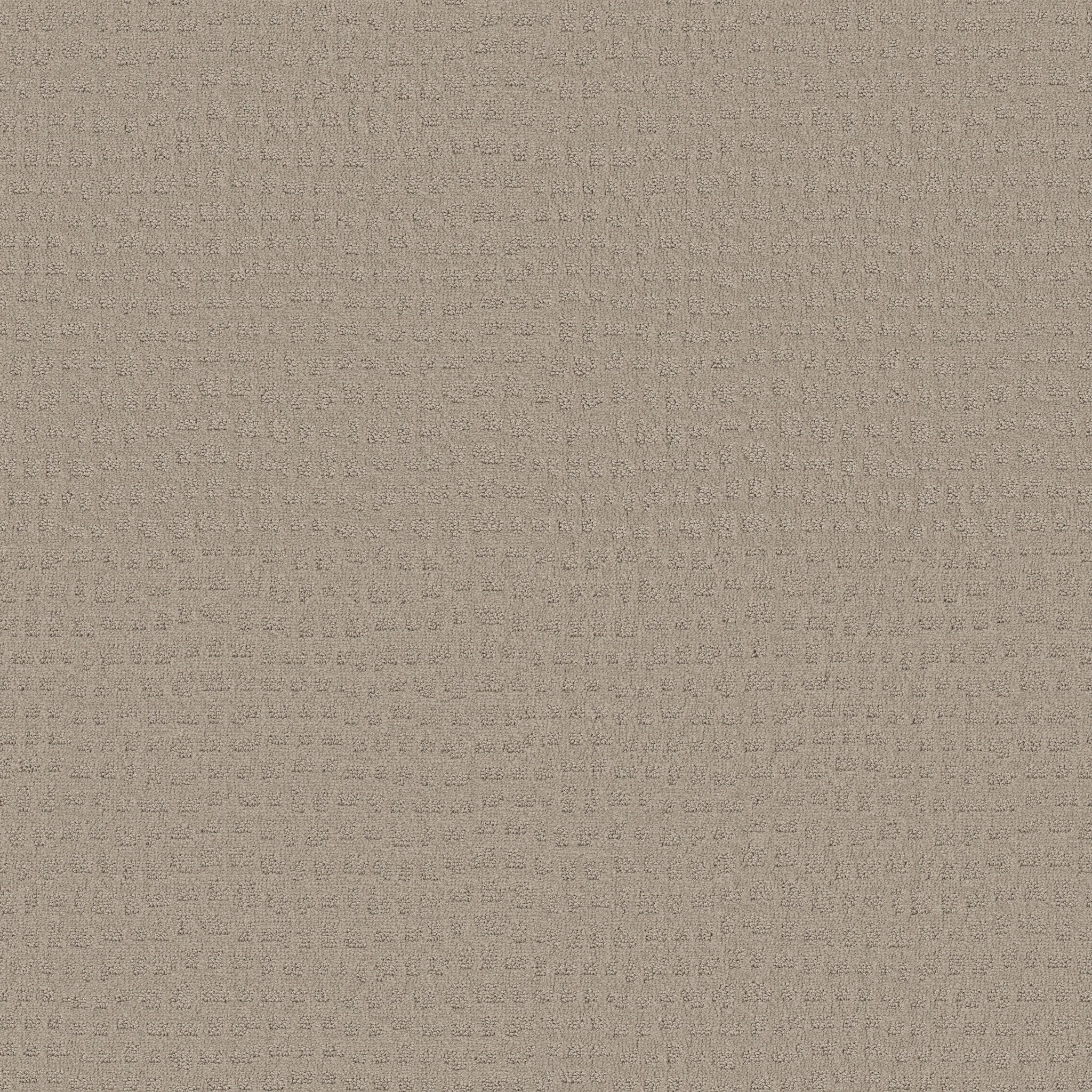 SOLSTICE BIT OF GRAY MAIN