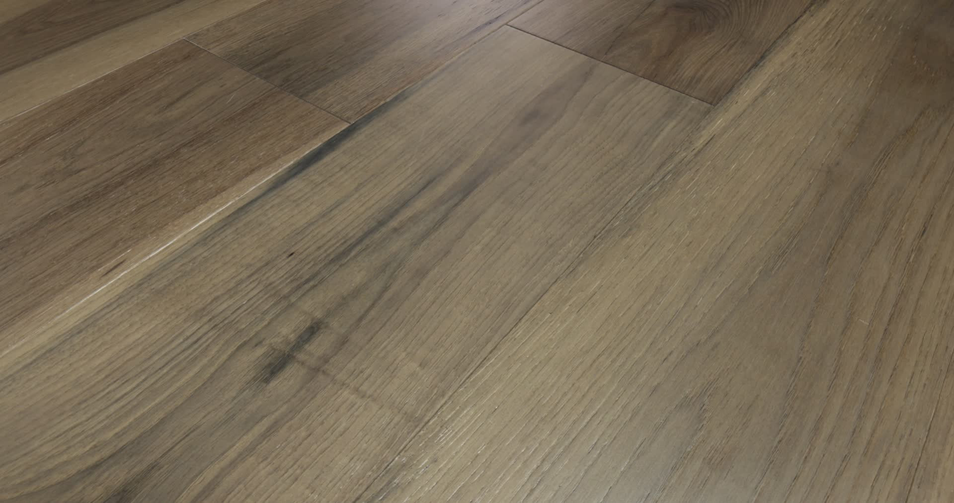 TRANSCENDENCE ELEVATION 360PROD