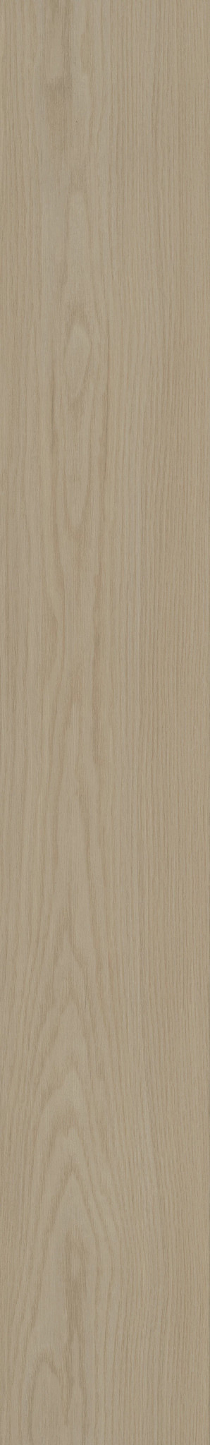 DISTINCTION PLUS EARTHY TAUPE 1TO1