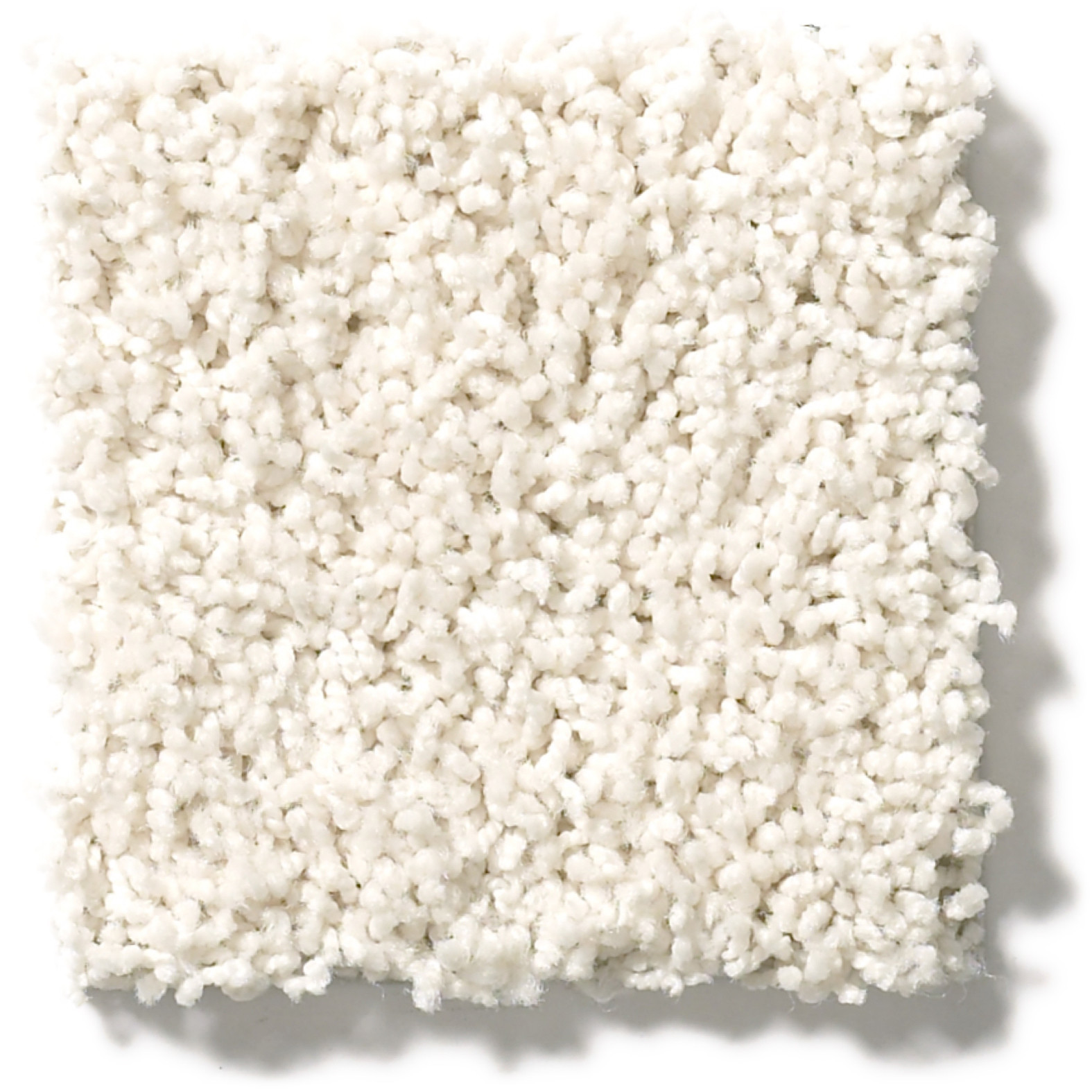 DEL MORRO SWAN SWATCH