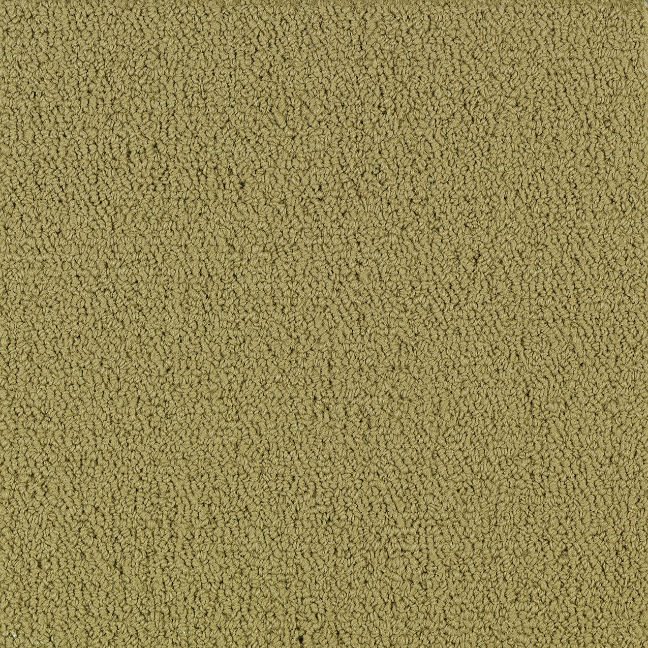 COLOR-ACCENTS-BL-54584-HERBAL-62302-main-image