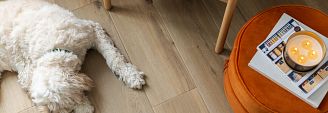 Goldendoodle type of dog on CORetec vinyl flooring