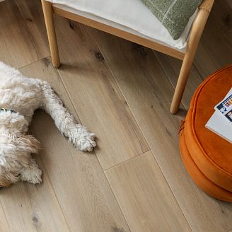A puppy lying on luxury vinyl flooring.