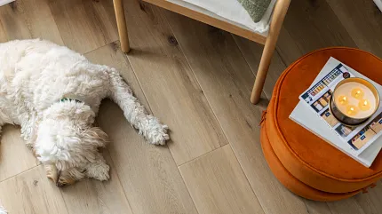 Coretec Residential WPC Luxury Vinyl Plank Flooring - Natural Wood Look, 72.05x8.85 inches Cozy living room scene with a fluffy white dog resting on Coretec Residential WPC luxury vinyl plank flooring in a natural wood look, featuring dimensions of 72.05x8.85 inches