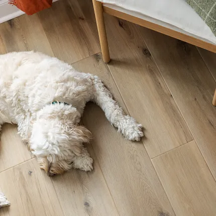 Coretec Residential WPC Luxury Vinyl Plank Flooring - Natural Wood Look, 72.05x8.85 inches Cozy living room scene with a fluffy white dog resting on Coretec Residential WPC luxury vinyl plank flooring in a natural wood look, featuring dimensions of 72.05x8.85 inches
