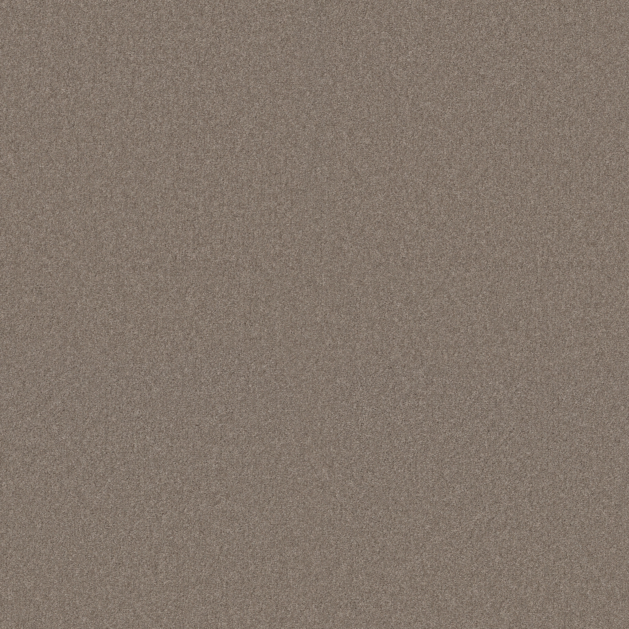 AG EXCEPTIONAL ANTICO MAIN