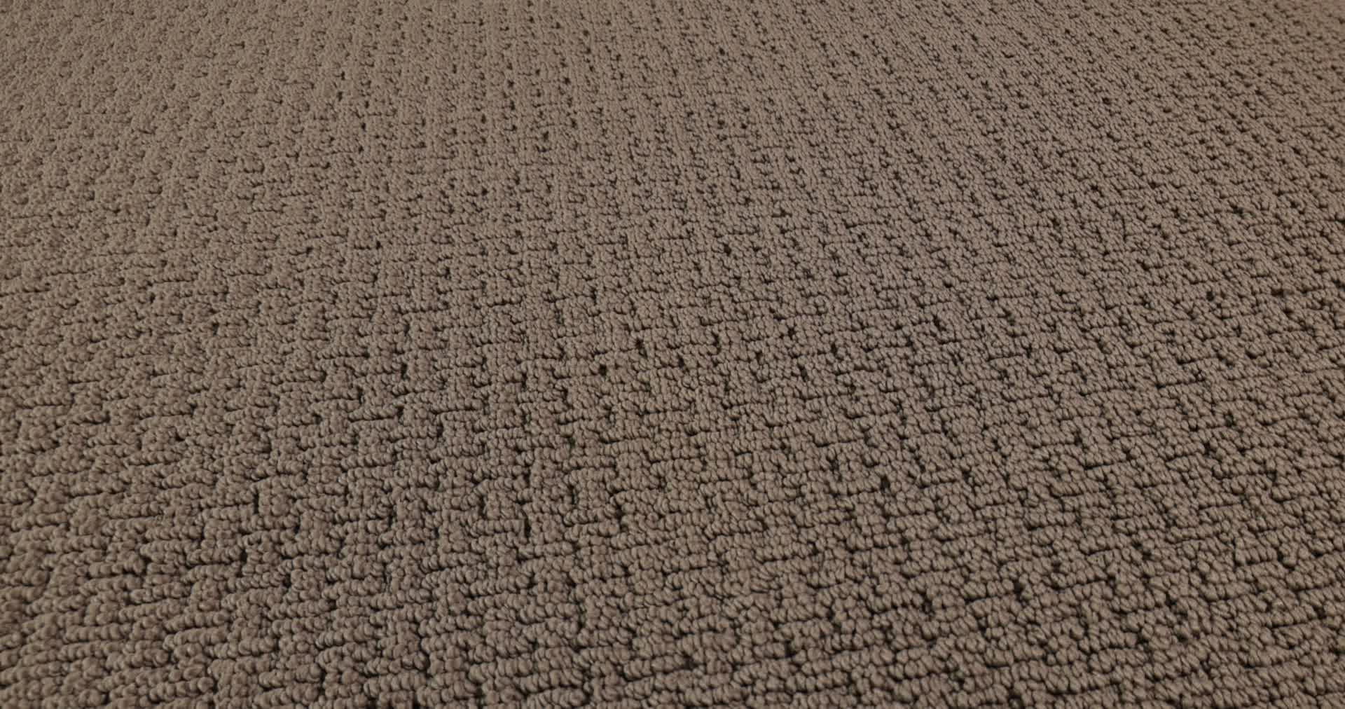 SAN SALVADOR SABLE 360PROD