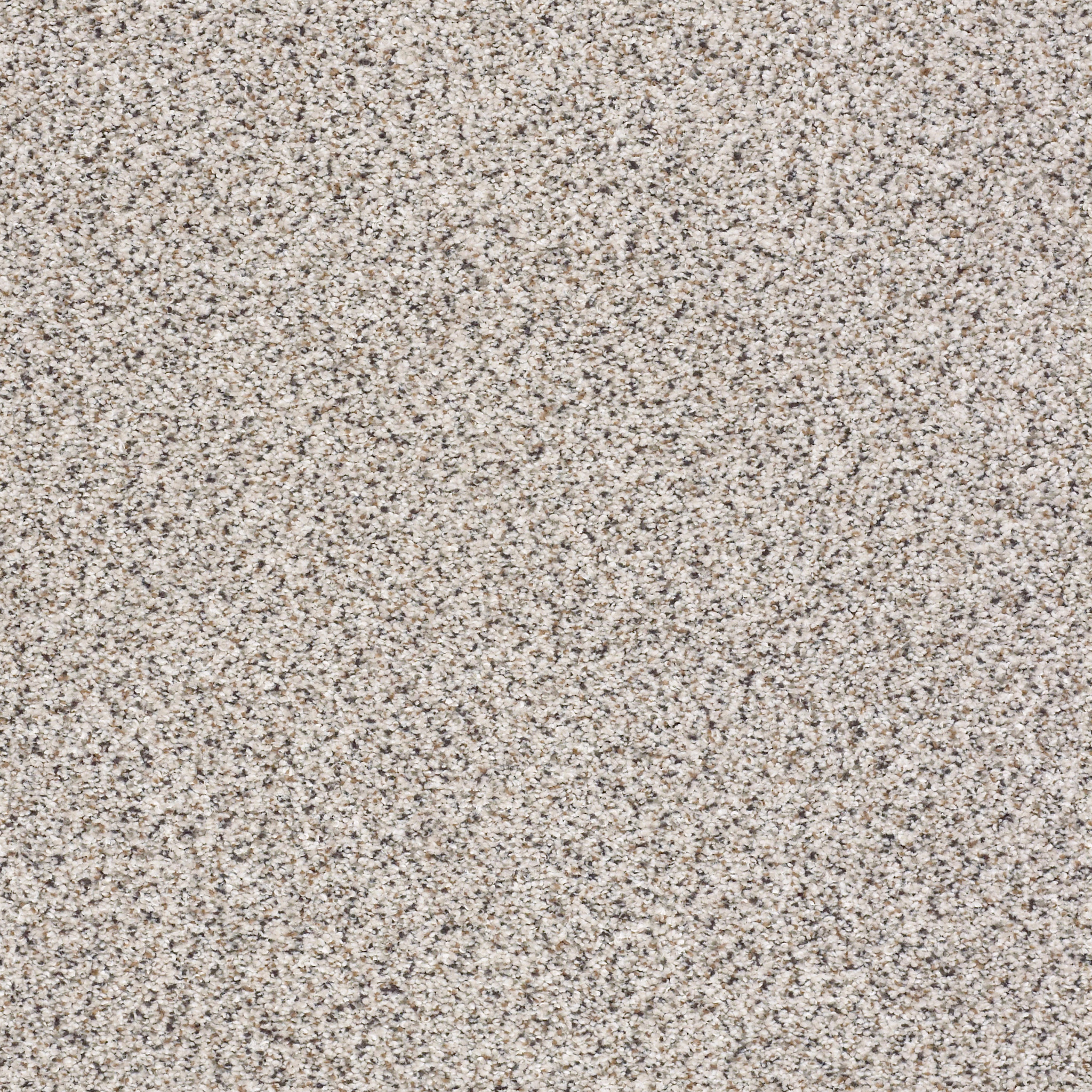 US シャウィー　棘色グラデーション Gold Texture Accents - Graphite Carpet | Shaw Floors