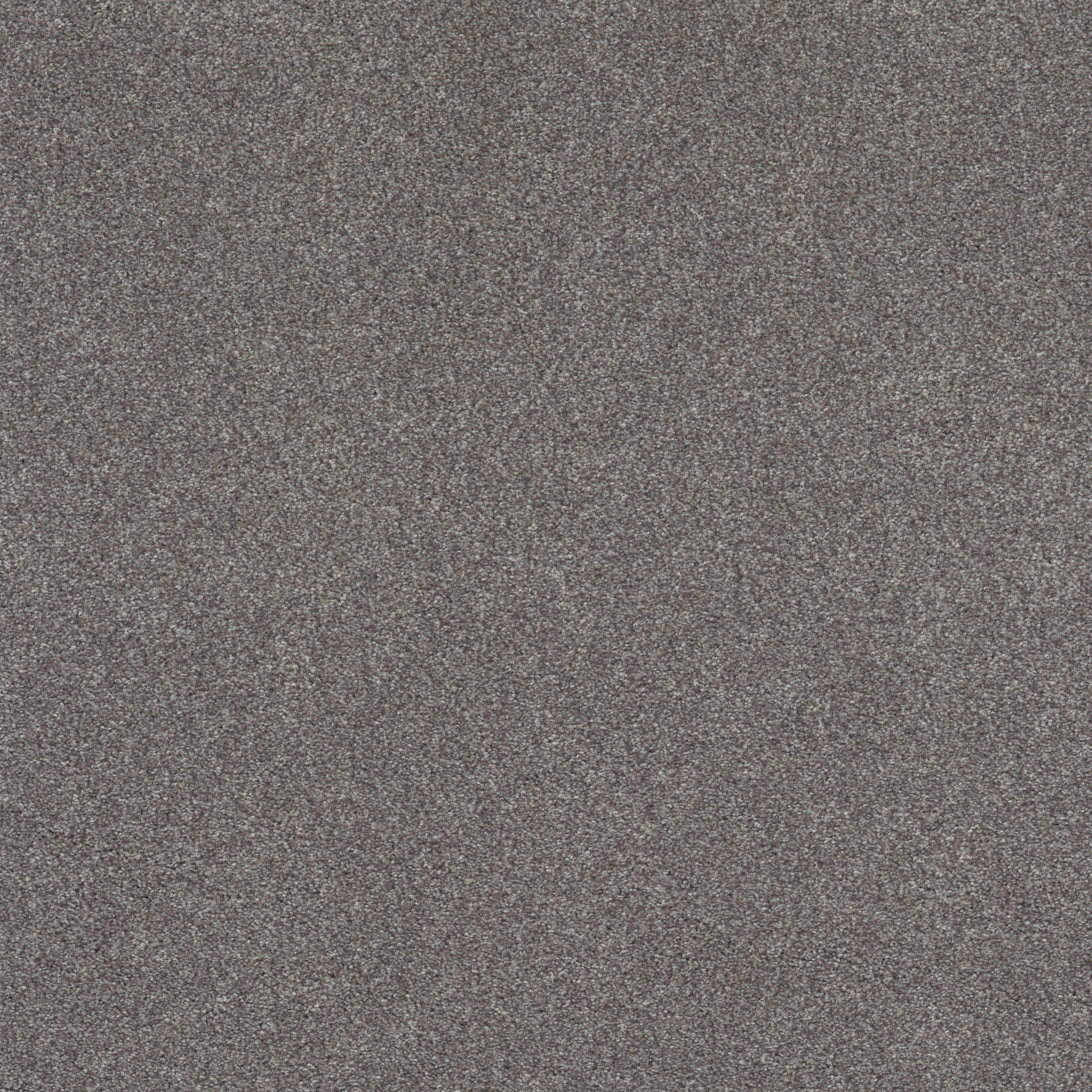 COZY HARBOR I WELL TRAVELED MAIN