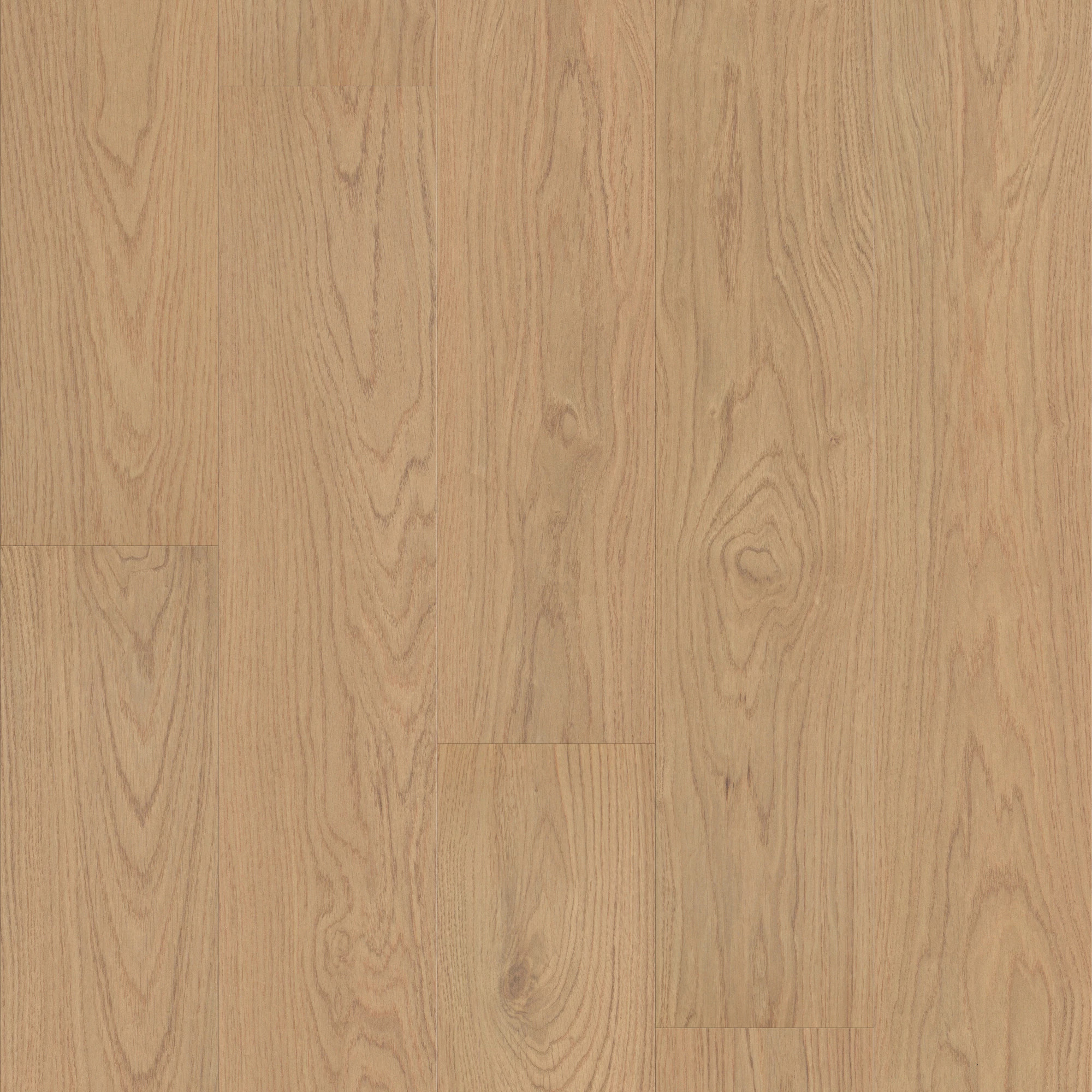OAK GROVE ALMOND BEIGE MAIN