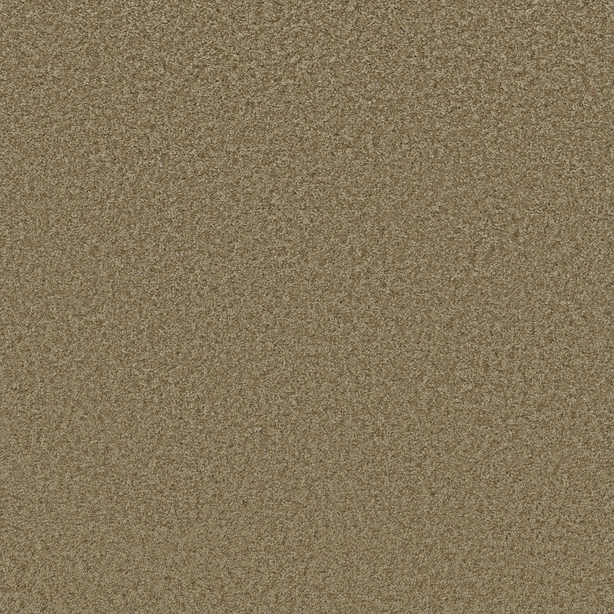 DAKOTA SPRINGS BUNGALOW MAIN