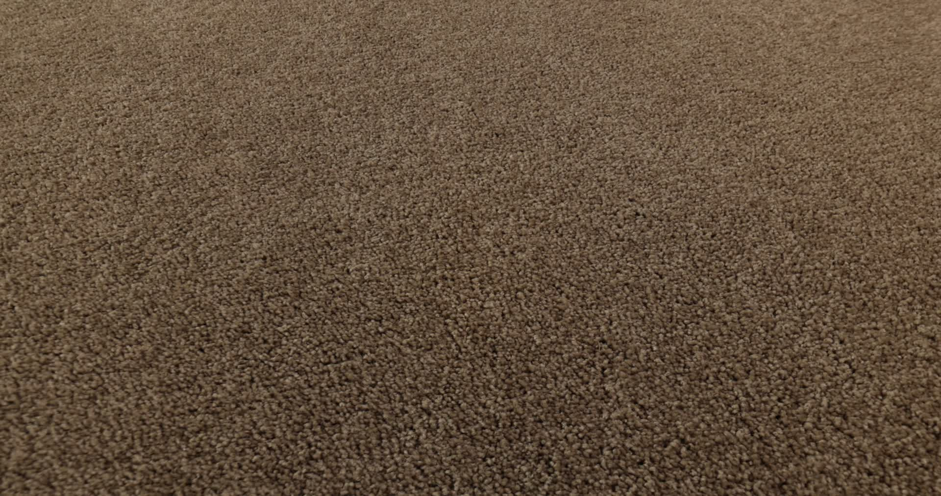 BEAUTIFULLY SIMPLE ACORN 360PROD