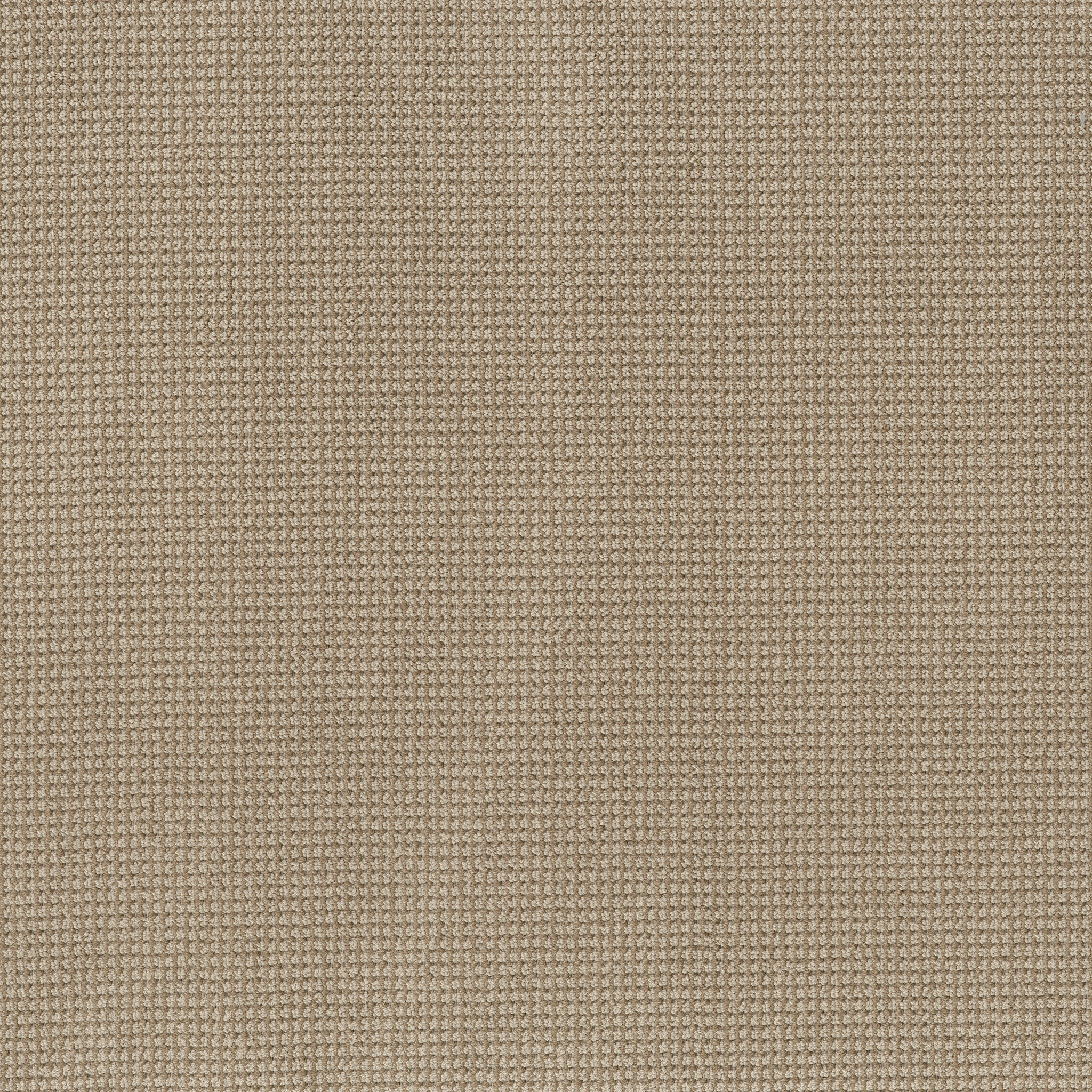 その他 FOOT STEP RUG ciatre exclusive Sanaa Rug SBC04 | High-Traffic Rug | Jaipur Living