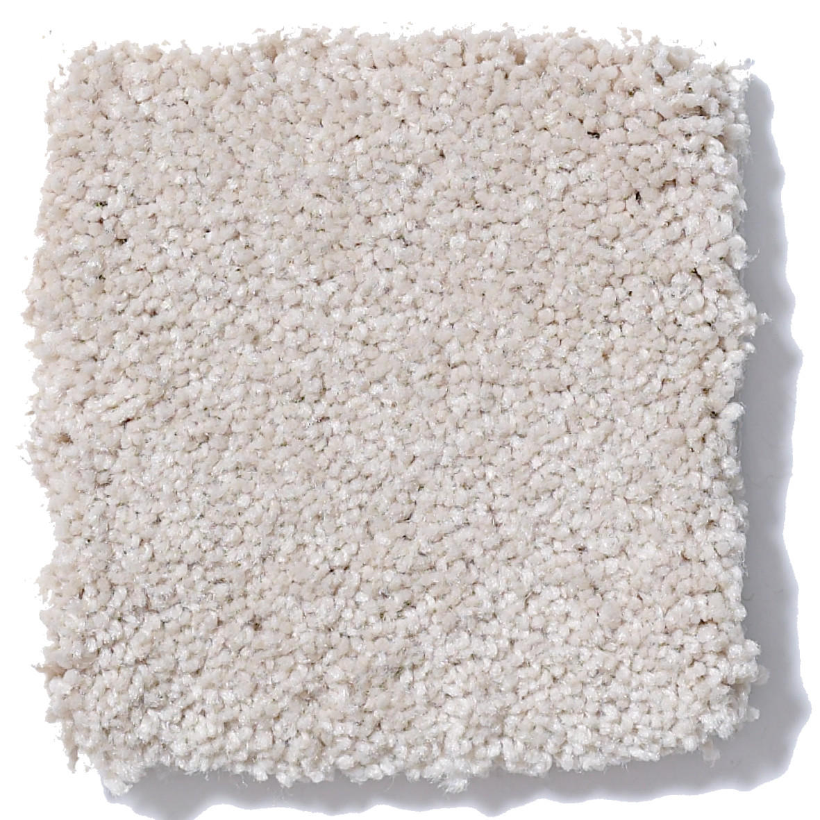 SOPHISTICATION 12' PUDDING SWATCH