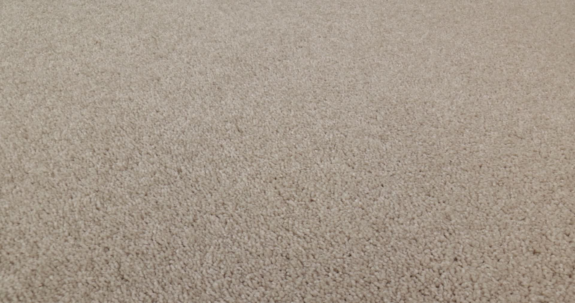 NEWBERN CLASSIC 12' TAUPE 360PROD