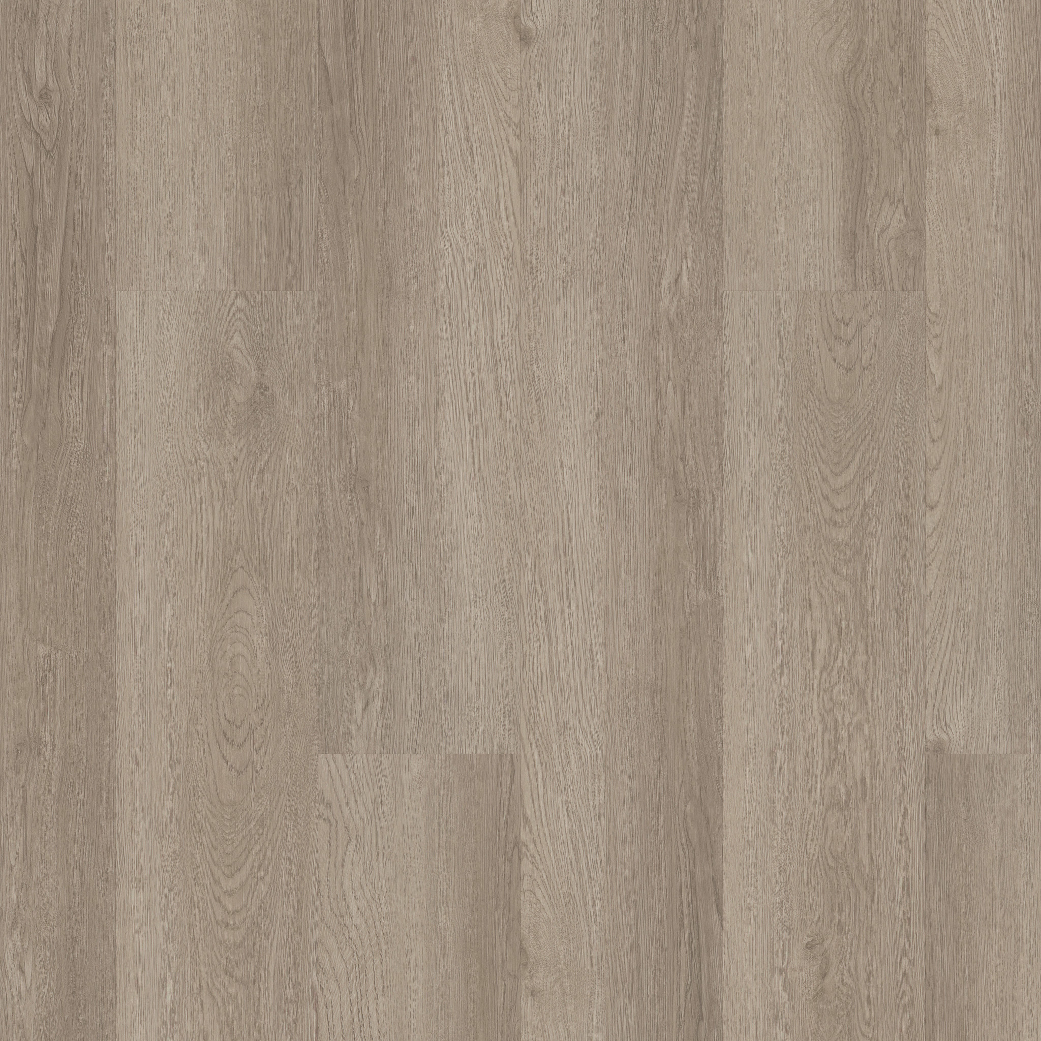 Infinite 12 - in Pampas | Shaw Floors