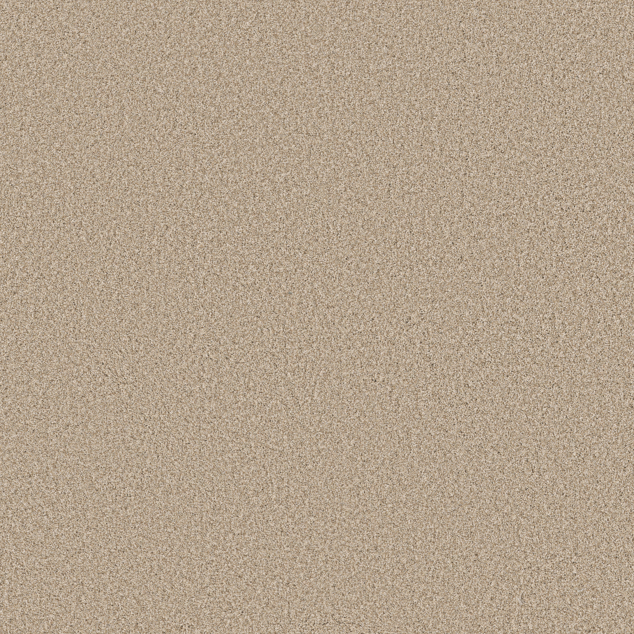Fabulous - 100% ANSO® High Performance Nylon in Utterly