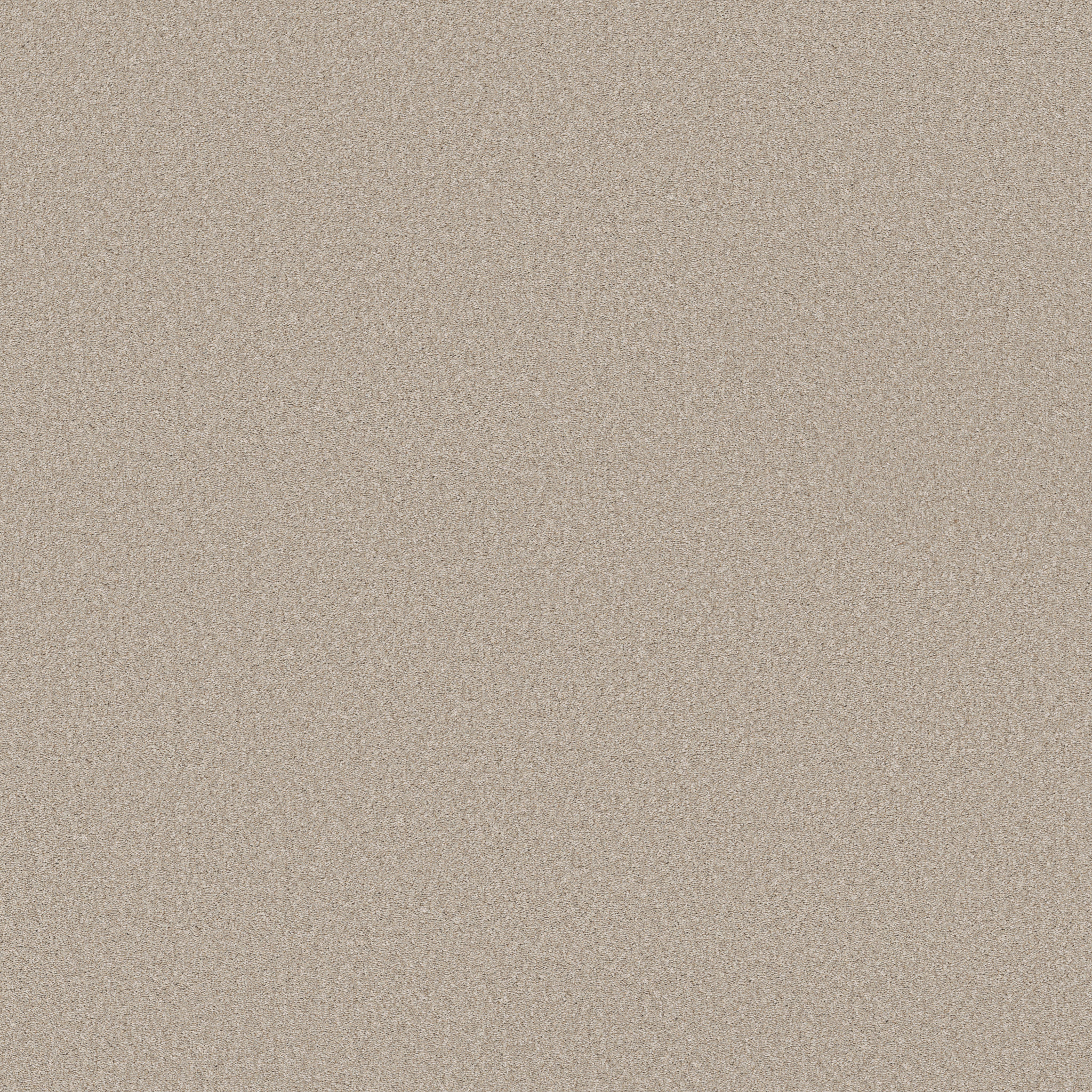 WONDERLAND II OUTER BANKS MAIN