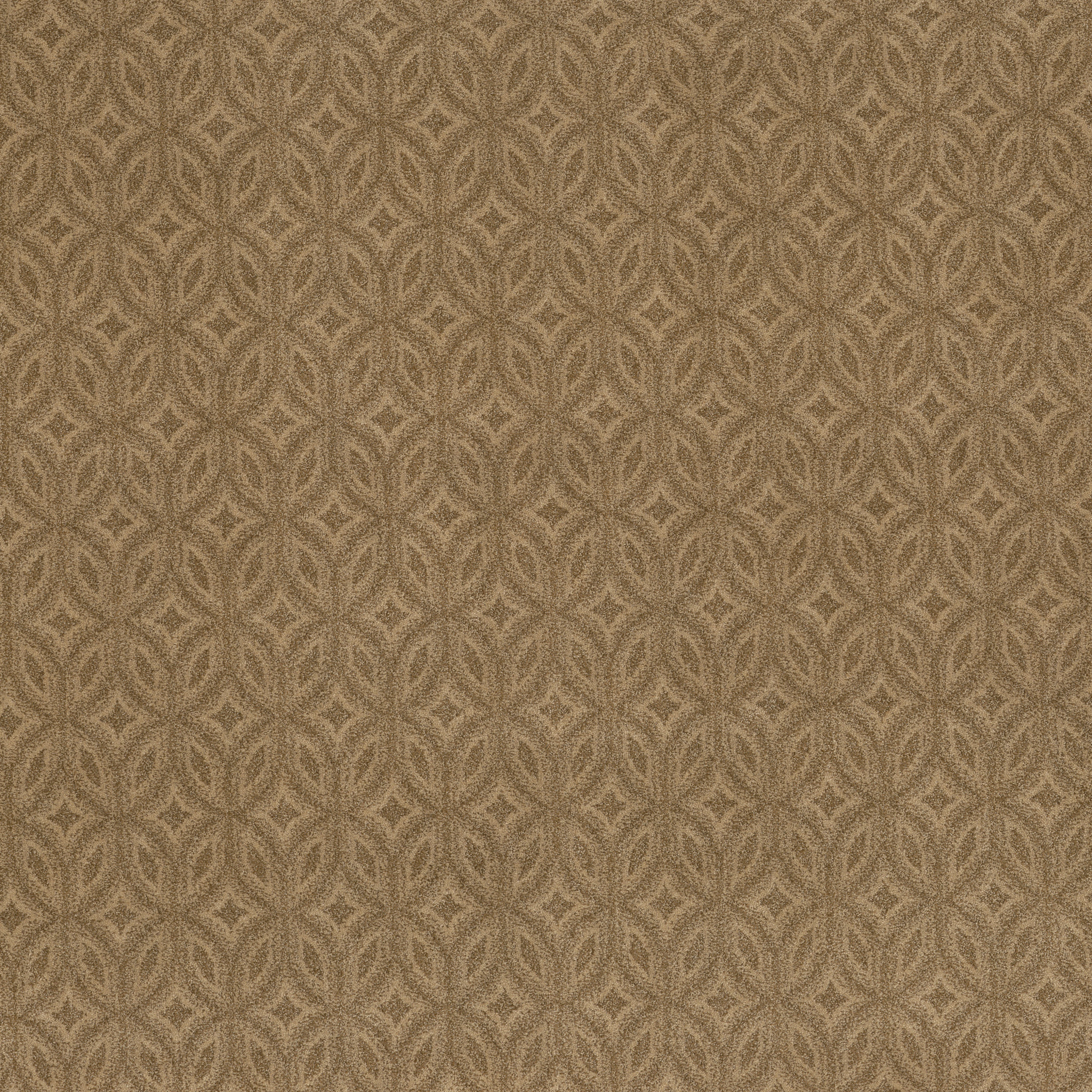 ENLIGHTENED SUMMERWOOD MAIN