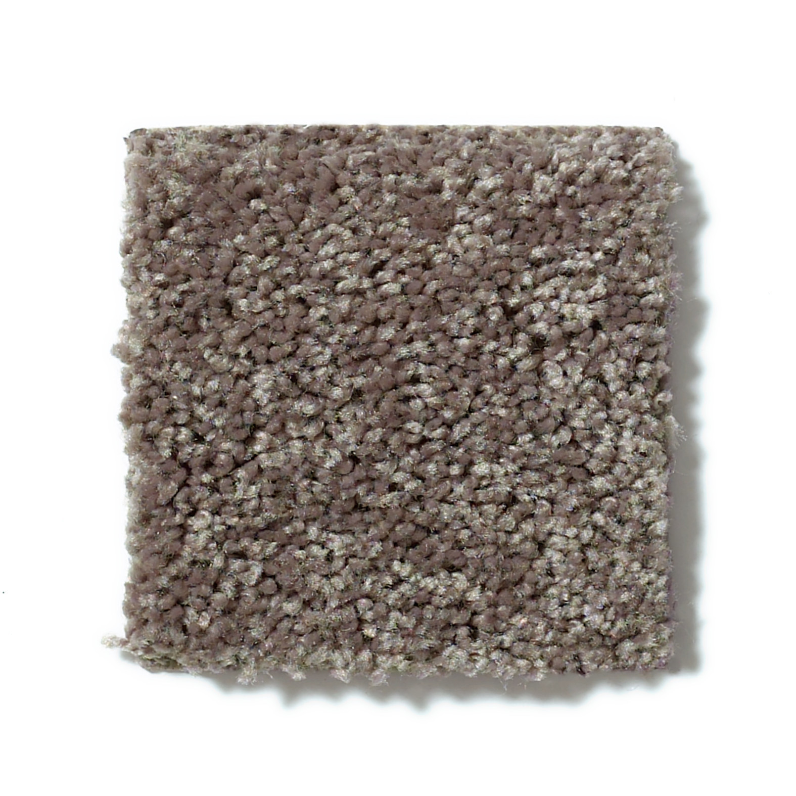 ALL STAR WEEKEND III 12' DRIFTWOOD SWATCH