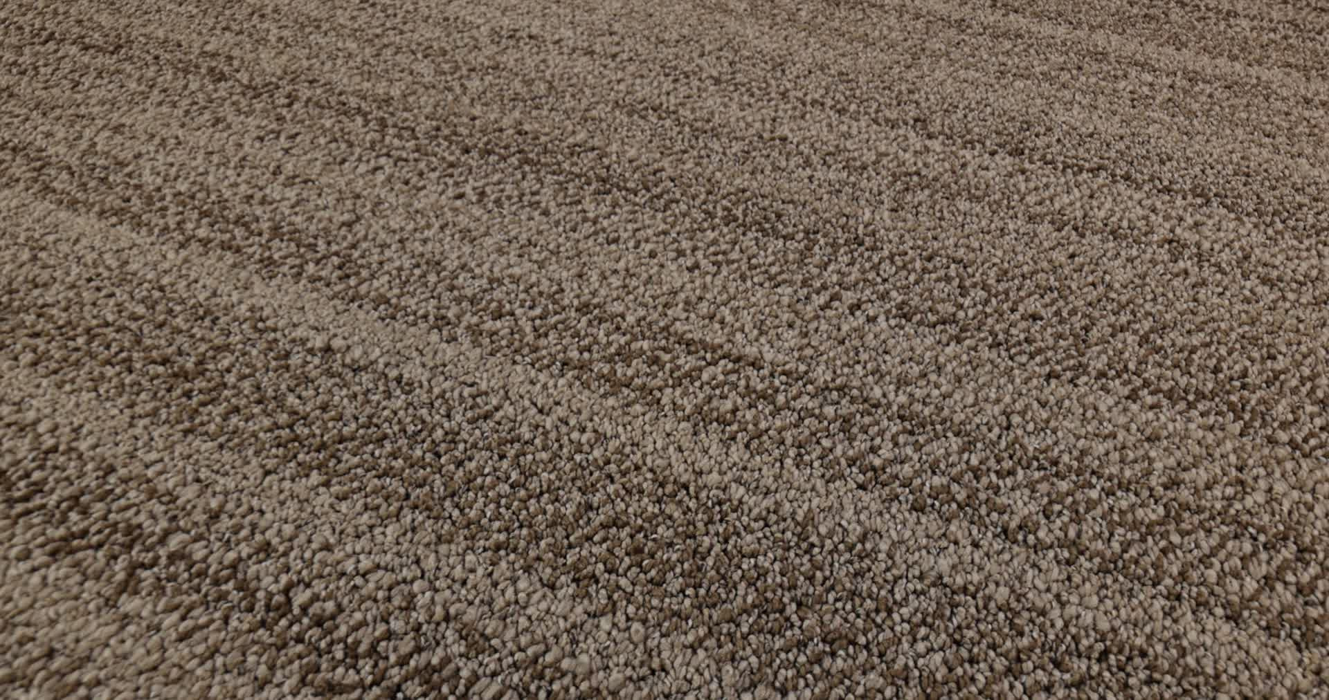 IN TEMPO SADDLE 360PROD