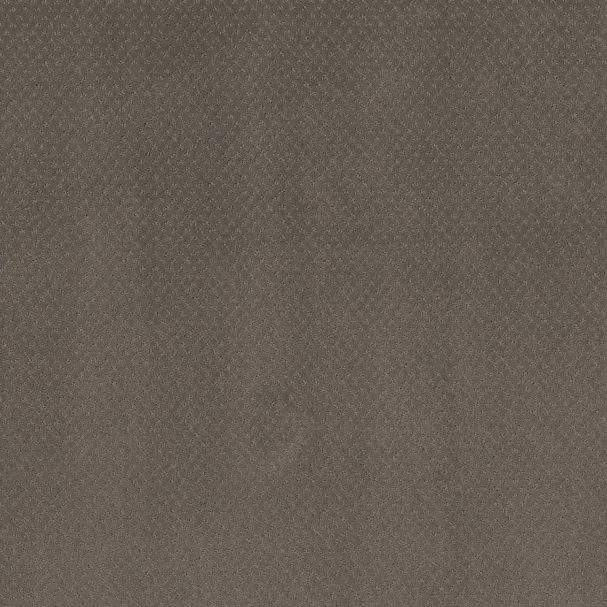 DEL VISTA POTTING SOIL MAIN