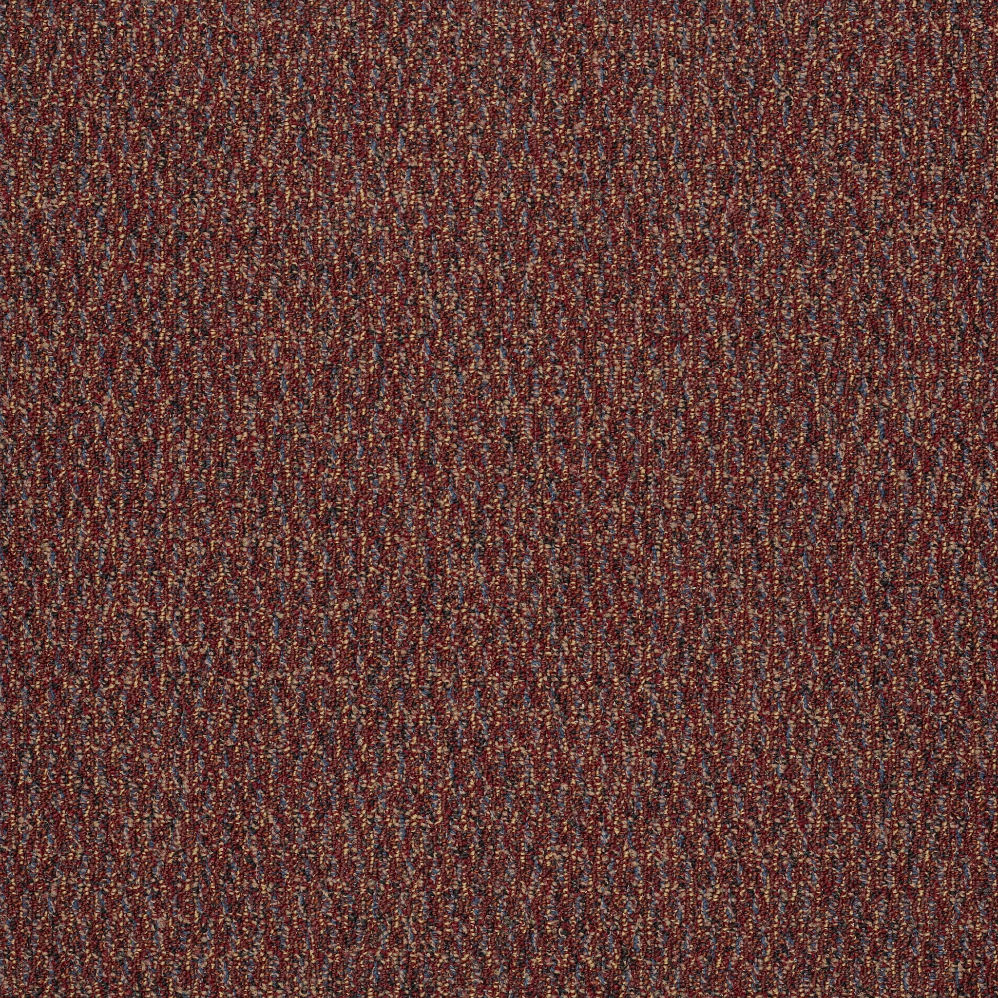 SPEAK-FREELY-54446-OPEN-UP-46800-main-image