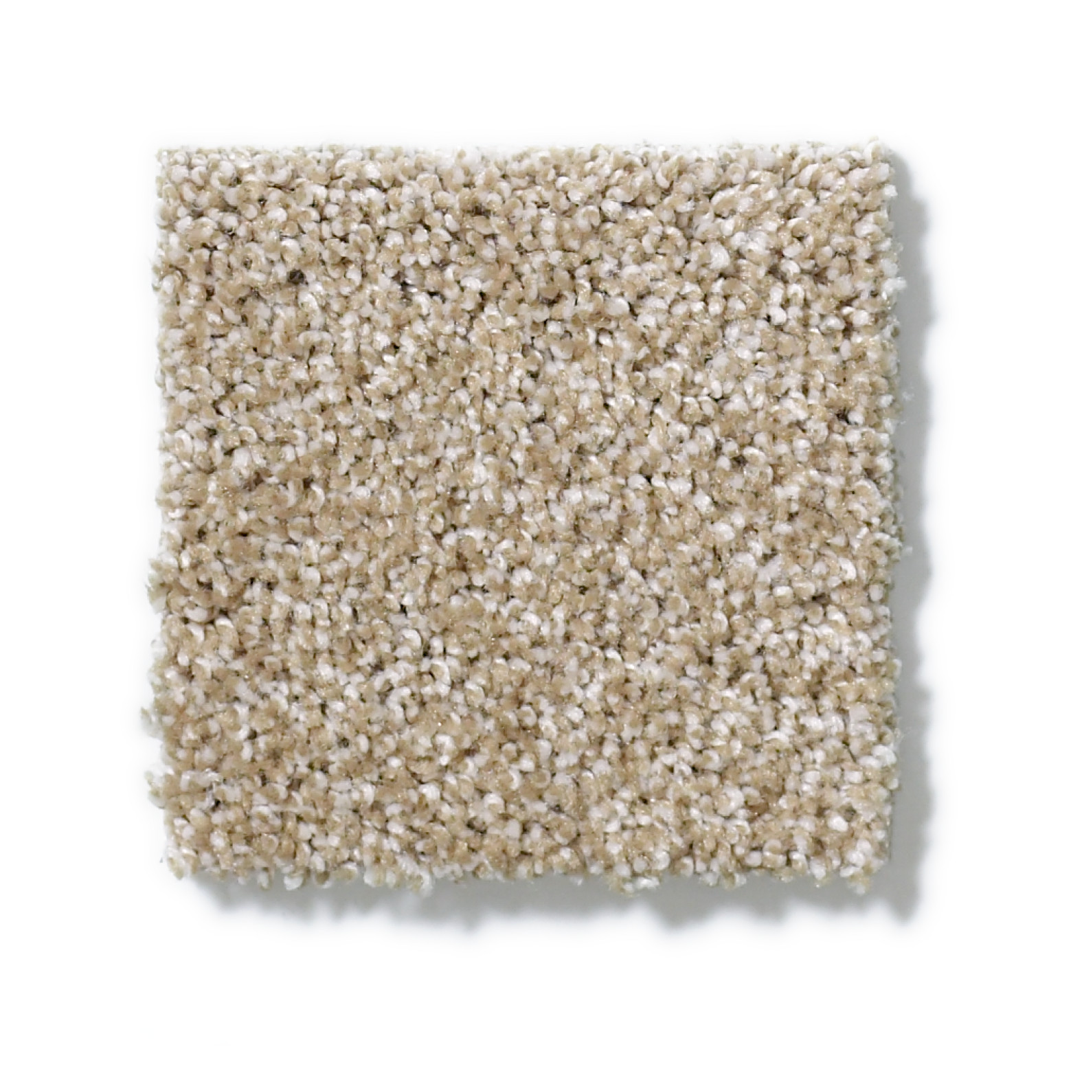 INSPIRING MUSHROOM SWATCH