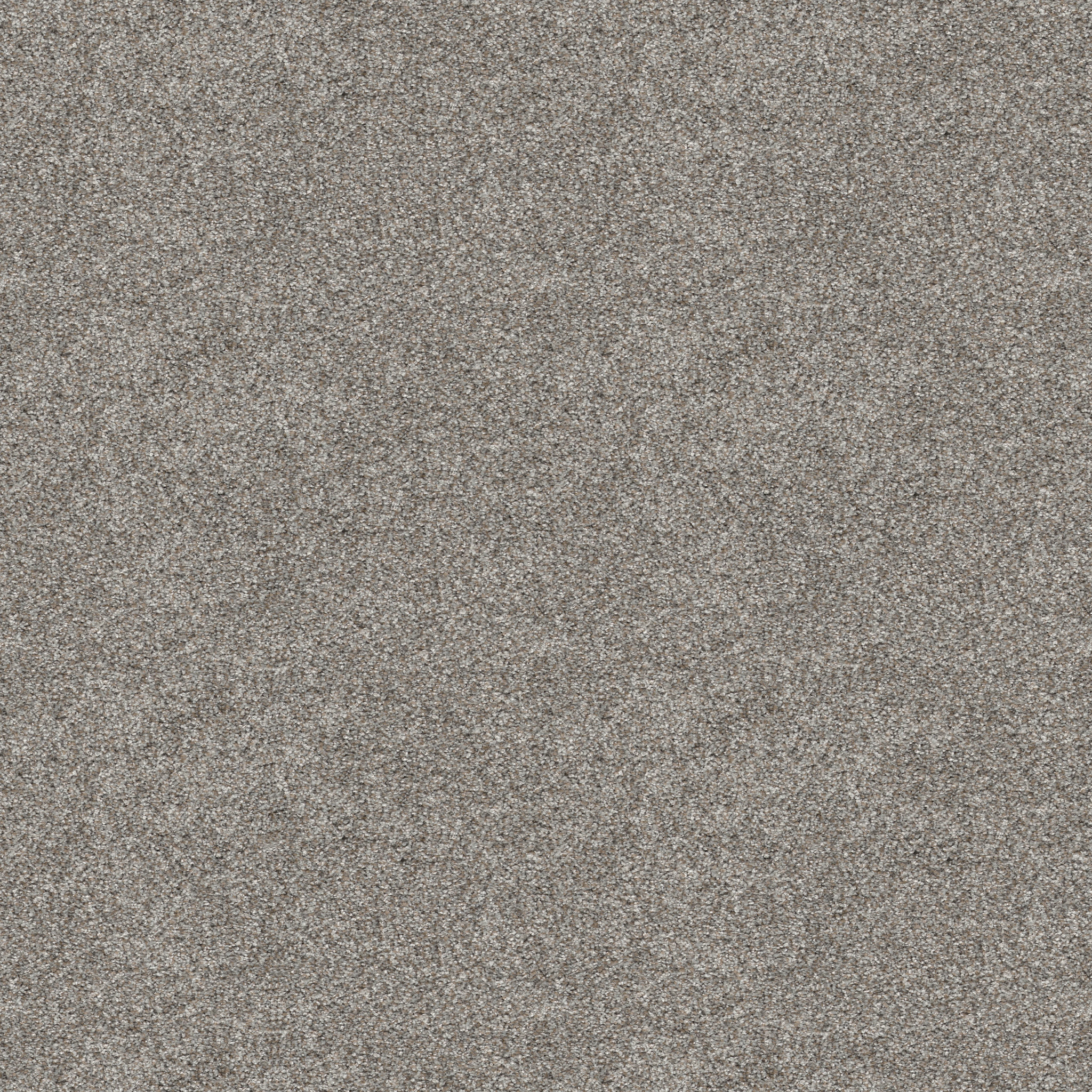 ELEVATED II RIVER ROCK MAIN