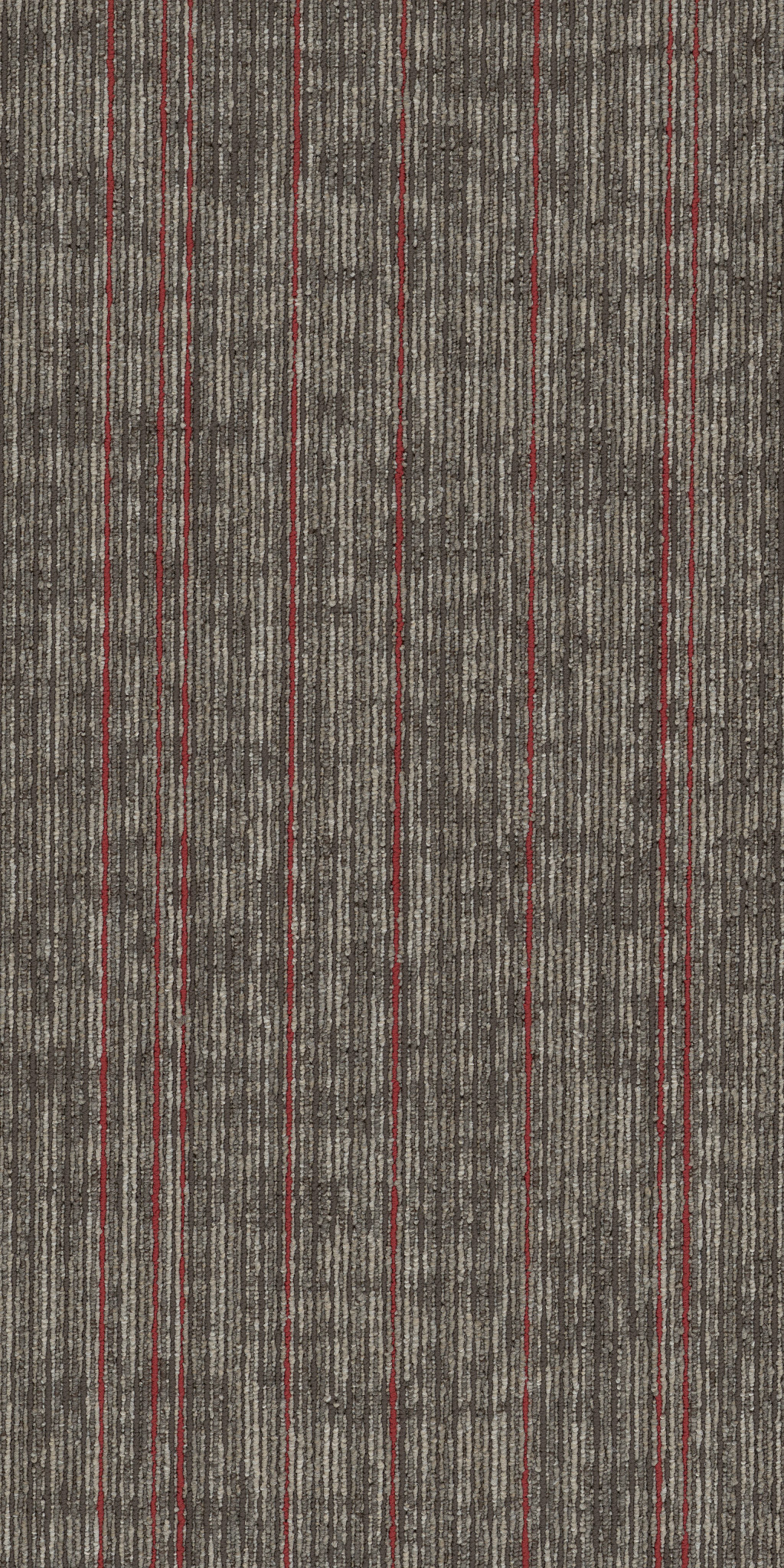 RISE-UP-54997-ELEVATE-00208-main-image