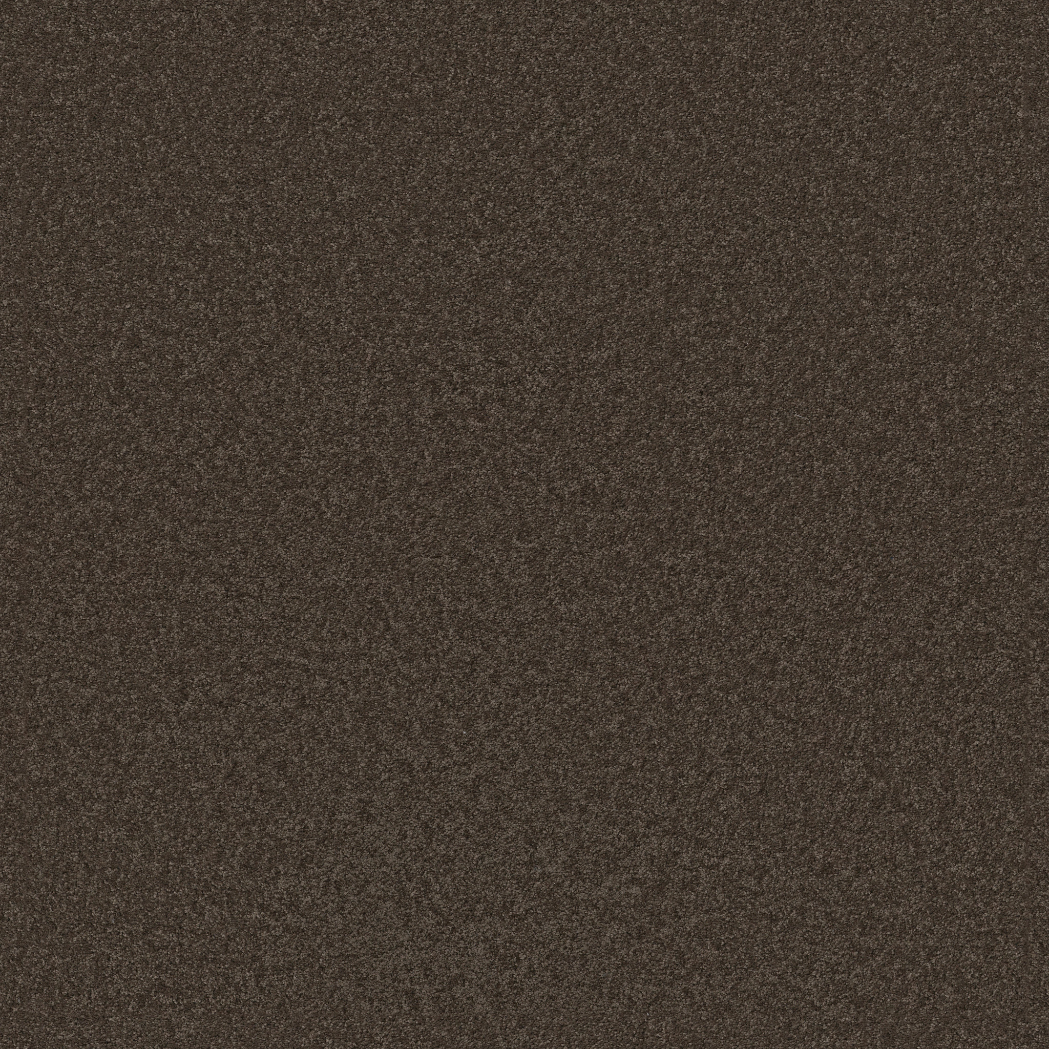 THAT'S RIGHT MAPLE MAIN