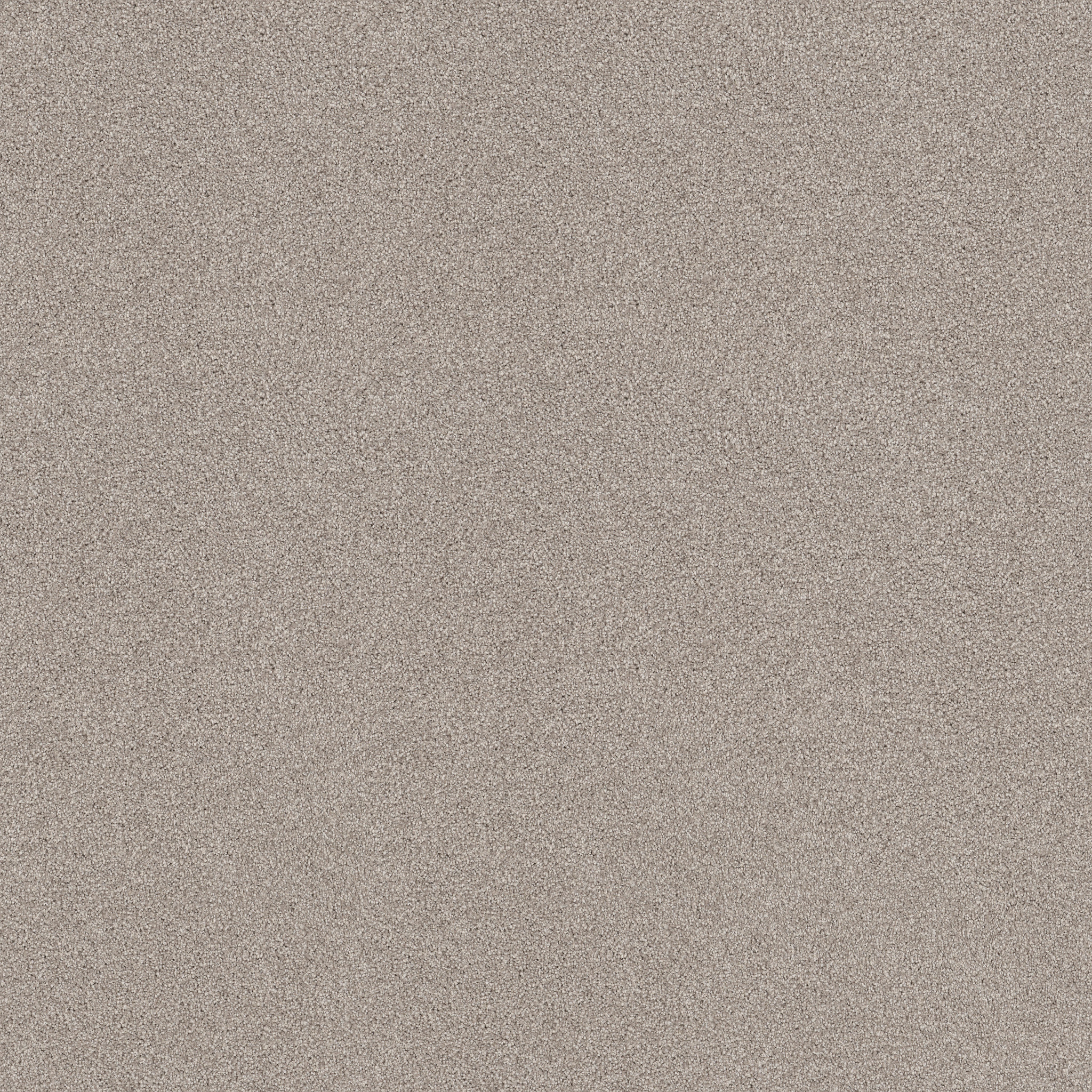 Find your comfort I - Tonal SHORELINE HAZE MAIN