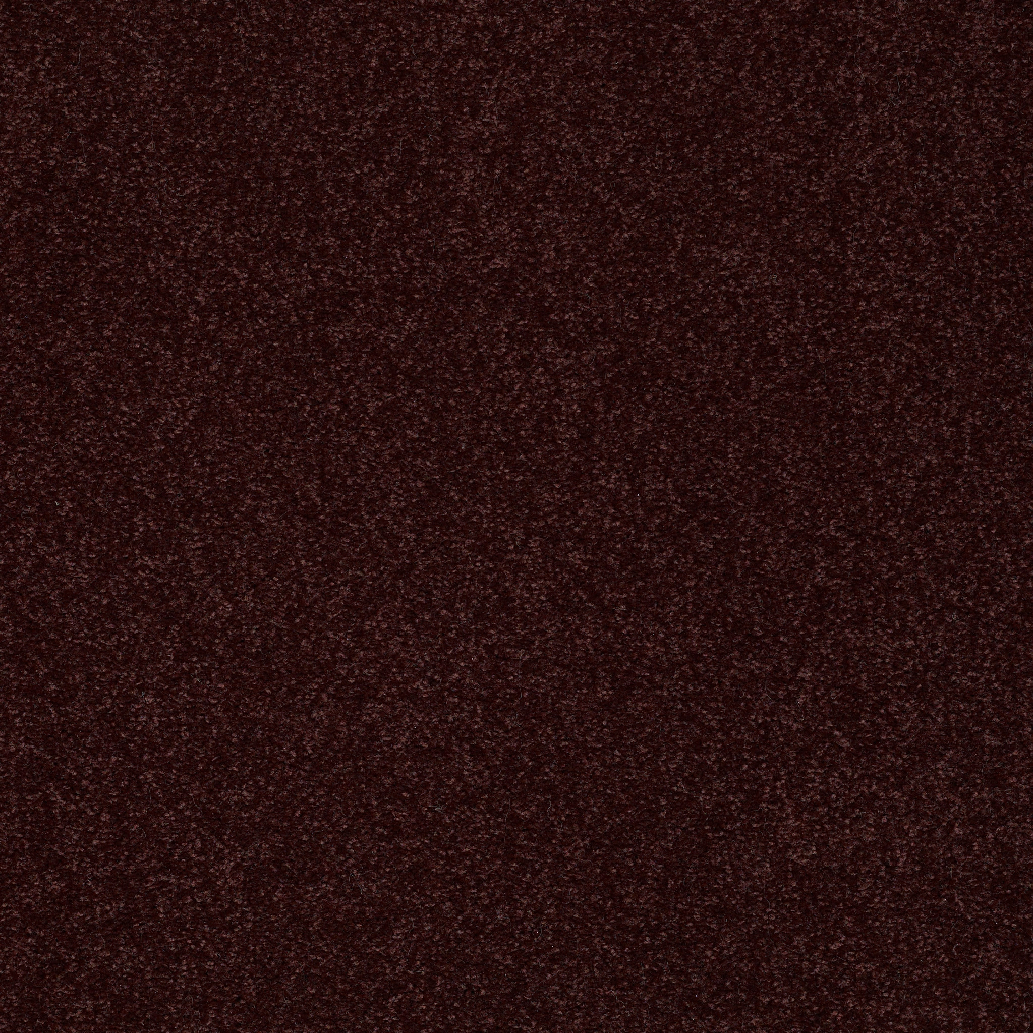 SHINGLE CREEK I 15 ROUGE RED MAIN