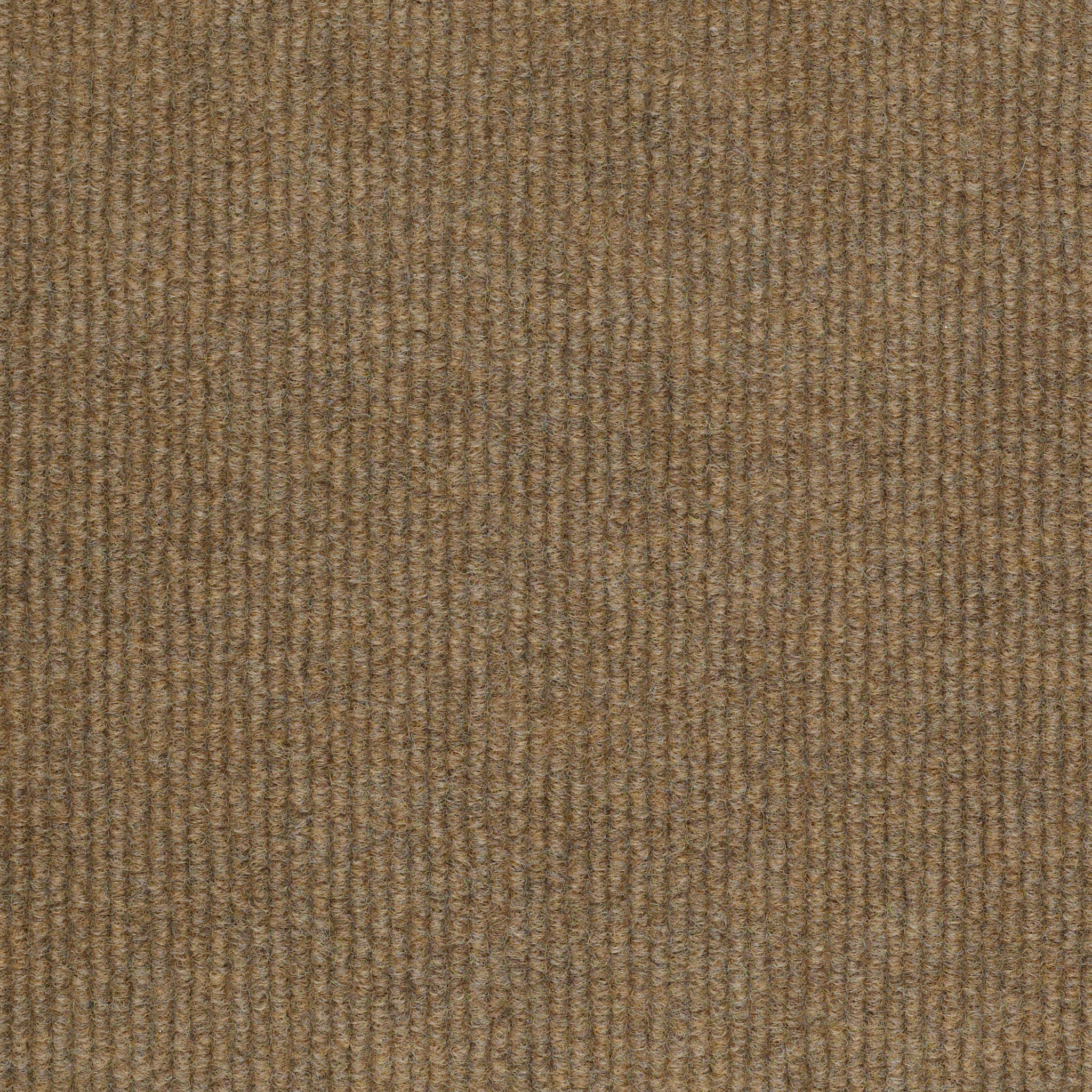 SUMMER-STOCK-54691-MONTEREY-POINT-00700-main-image