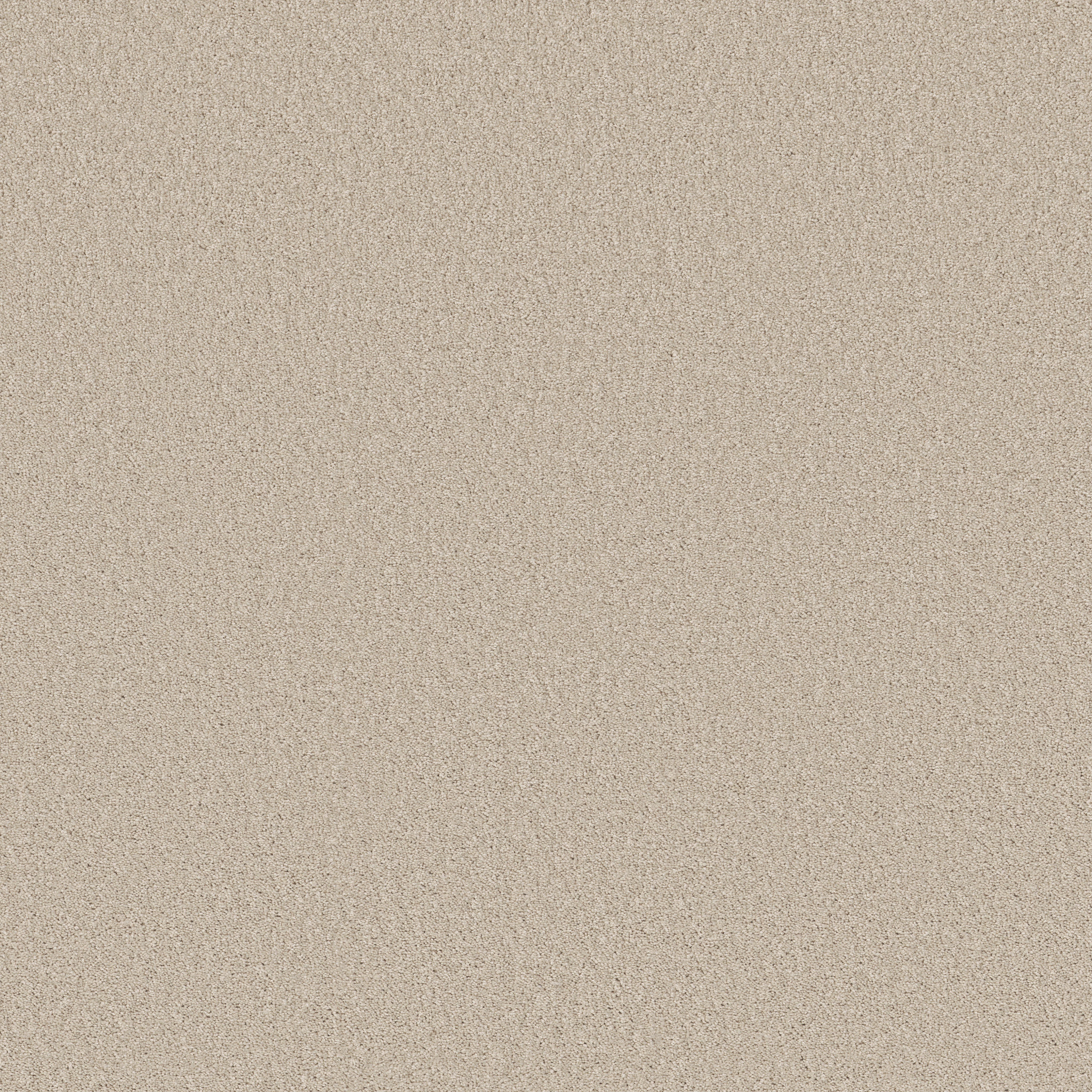 HONEST TO GOODNESS FRESH PERSPECTIVE MAIN