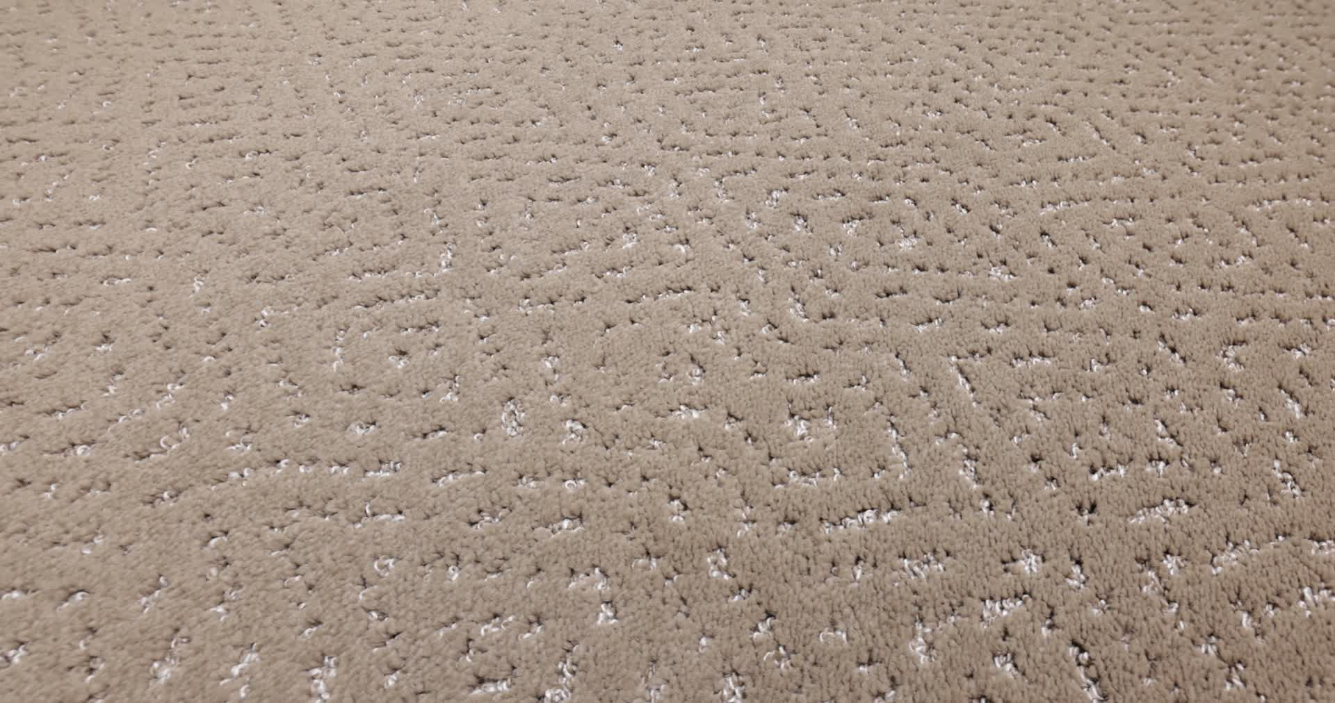 ELABORATE ARTIFACT CAMEO 360PROD