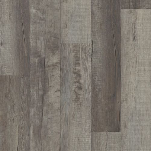 Galveston Oak