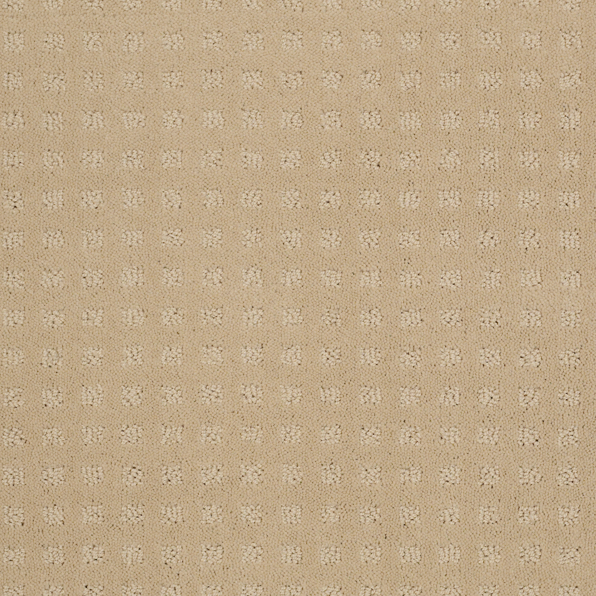 STYLE WITH EASE ABALONE MAIN