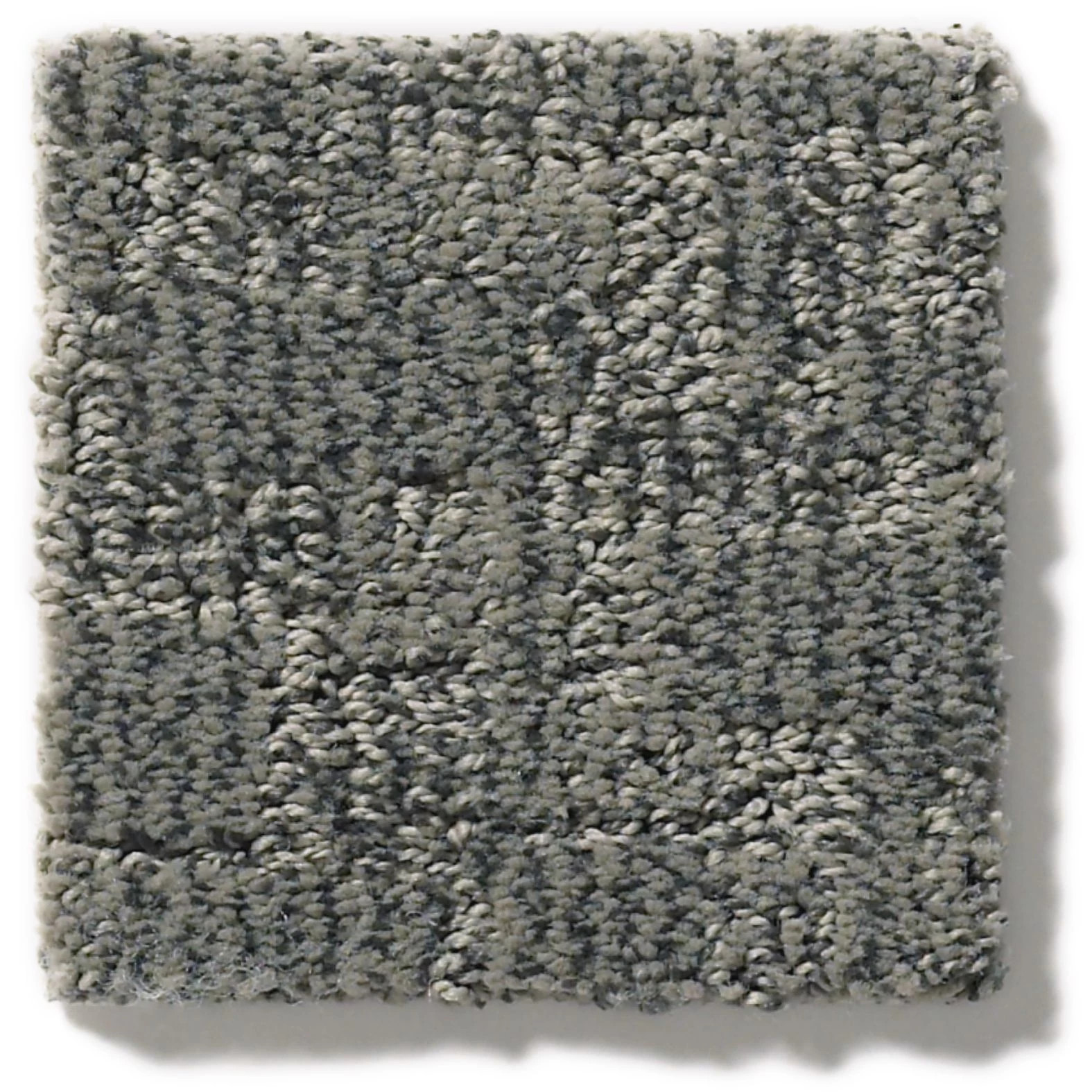 PAW-TAY KENDALL SWATCH